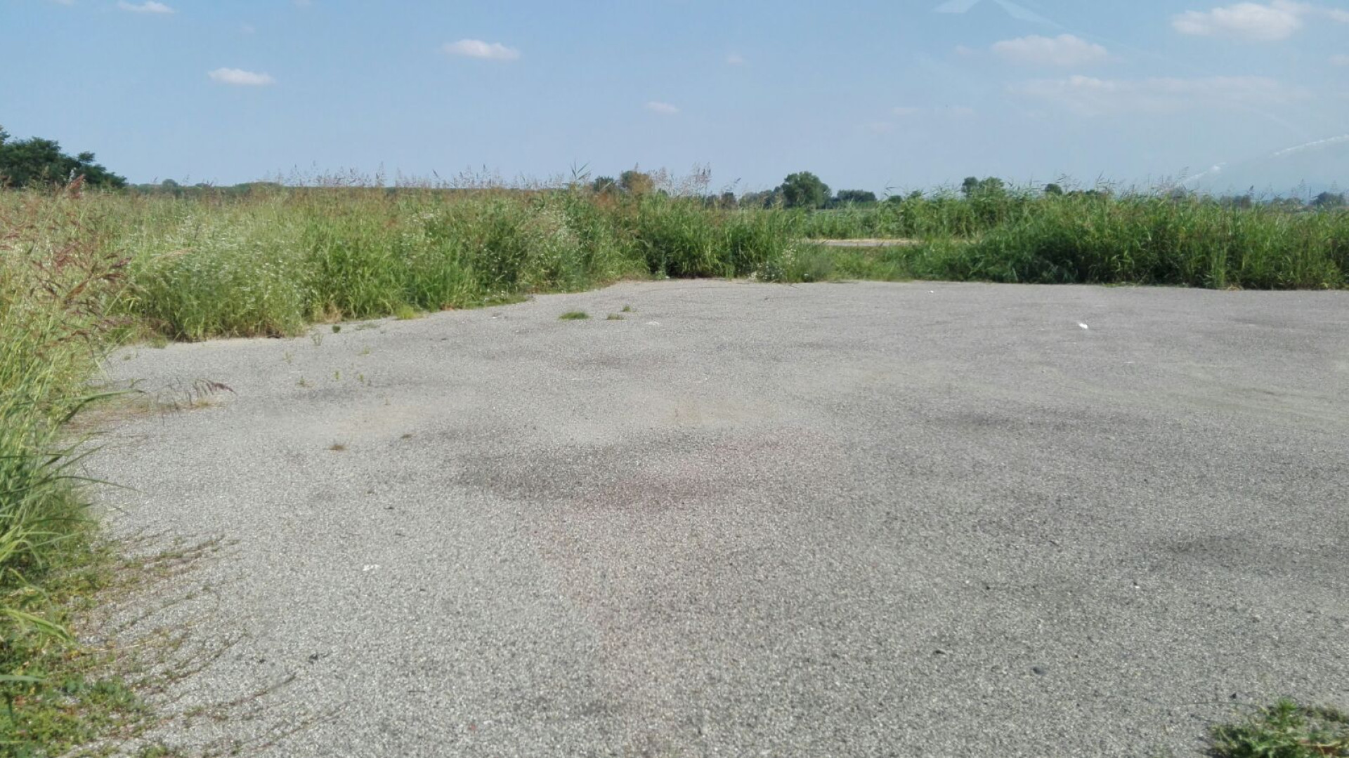 Bosco Pontone, addio area attrezzata. Il Comune: "Troppi furti"