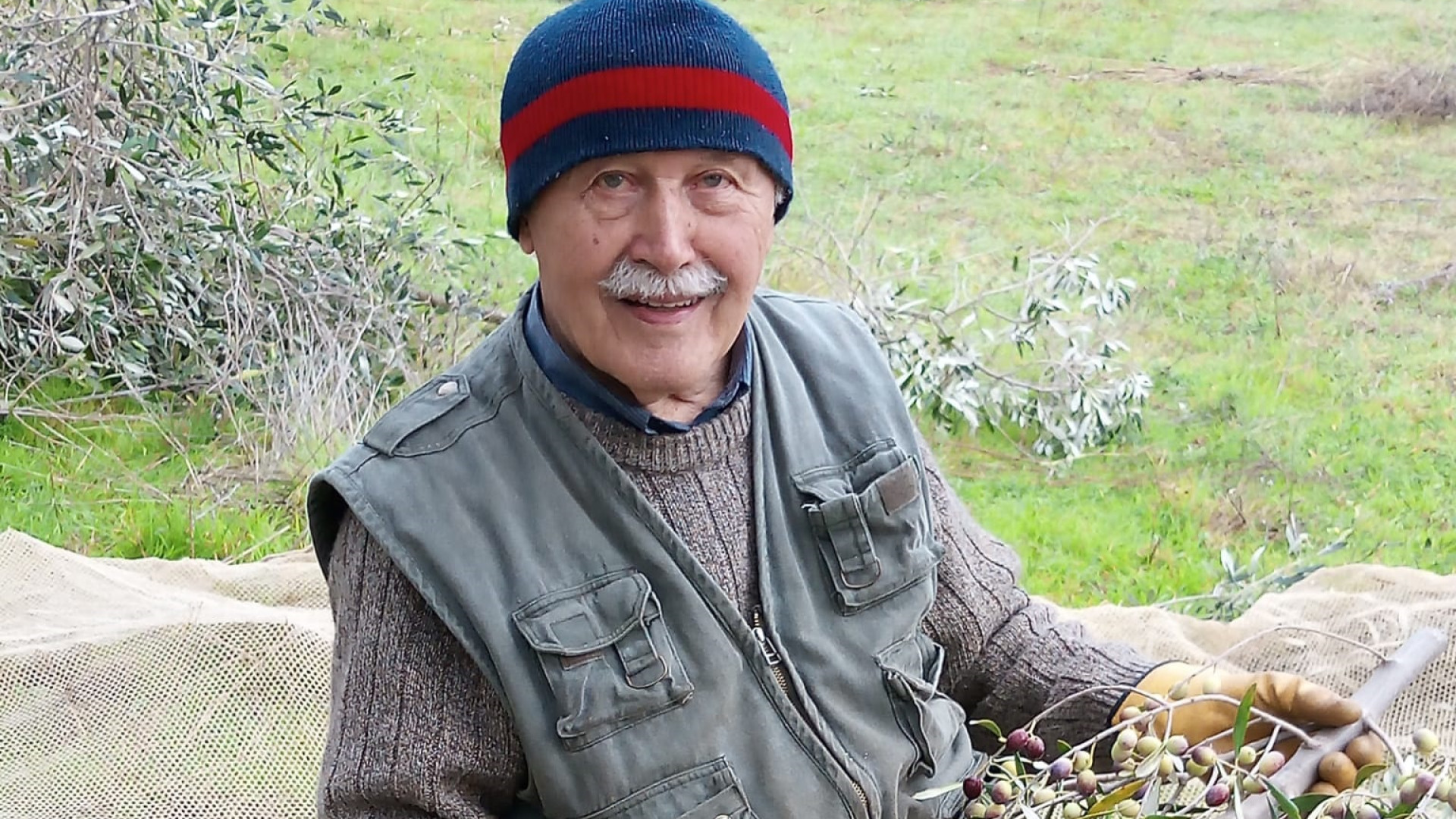 Il pomodoro nero ha origini piacentine: "Più tollerante agli insetti"