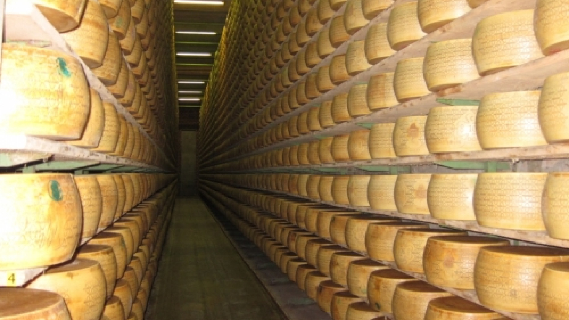 Rubate oltre 200 forme di formaggio pregiato: bottino 80mila euro