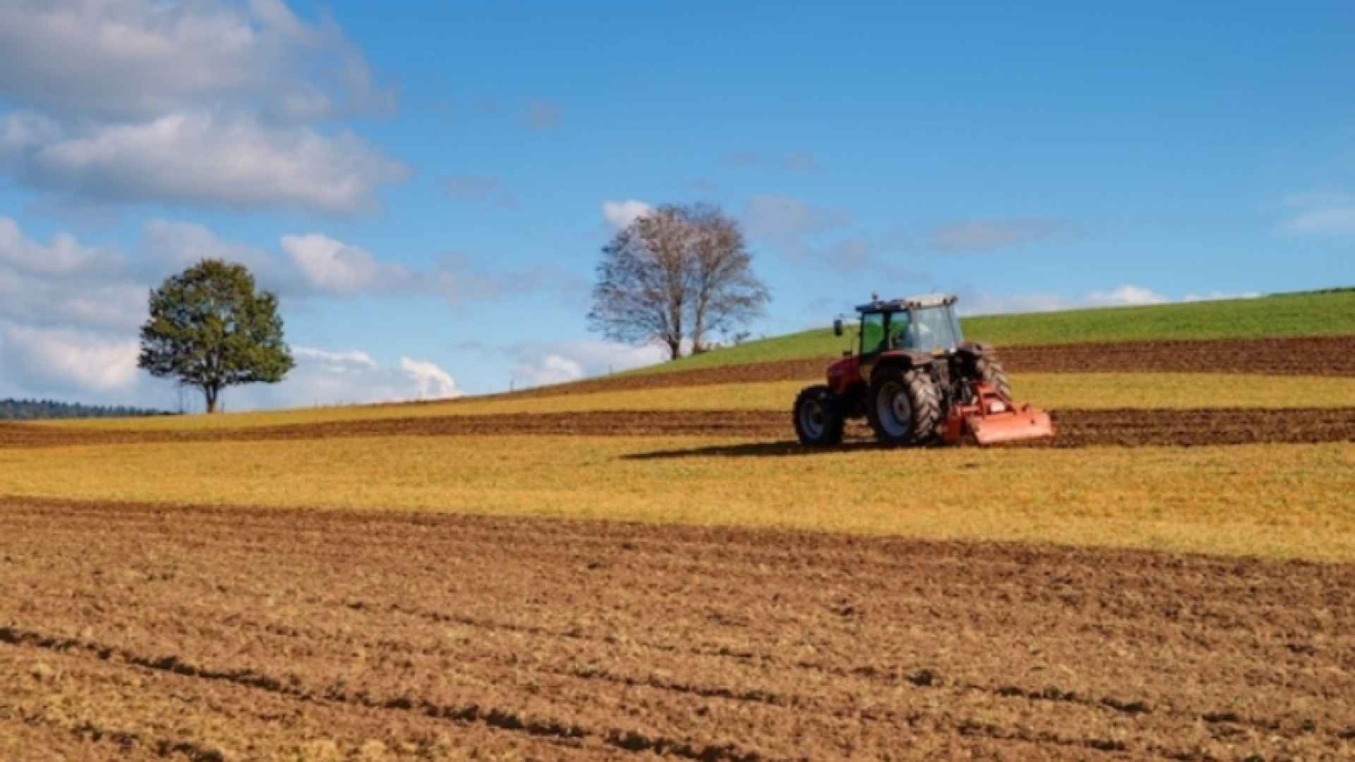 Sviluppo agricolo in alta collina: se ne parla domani a Piozzano