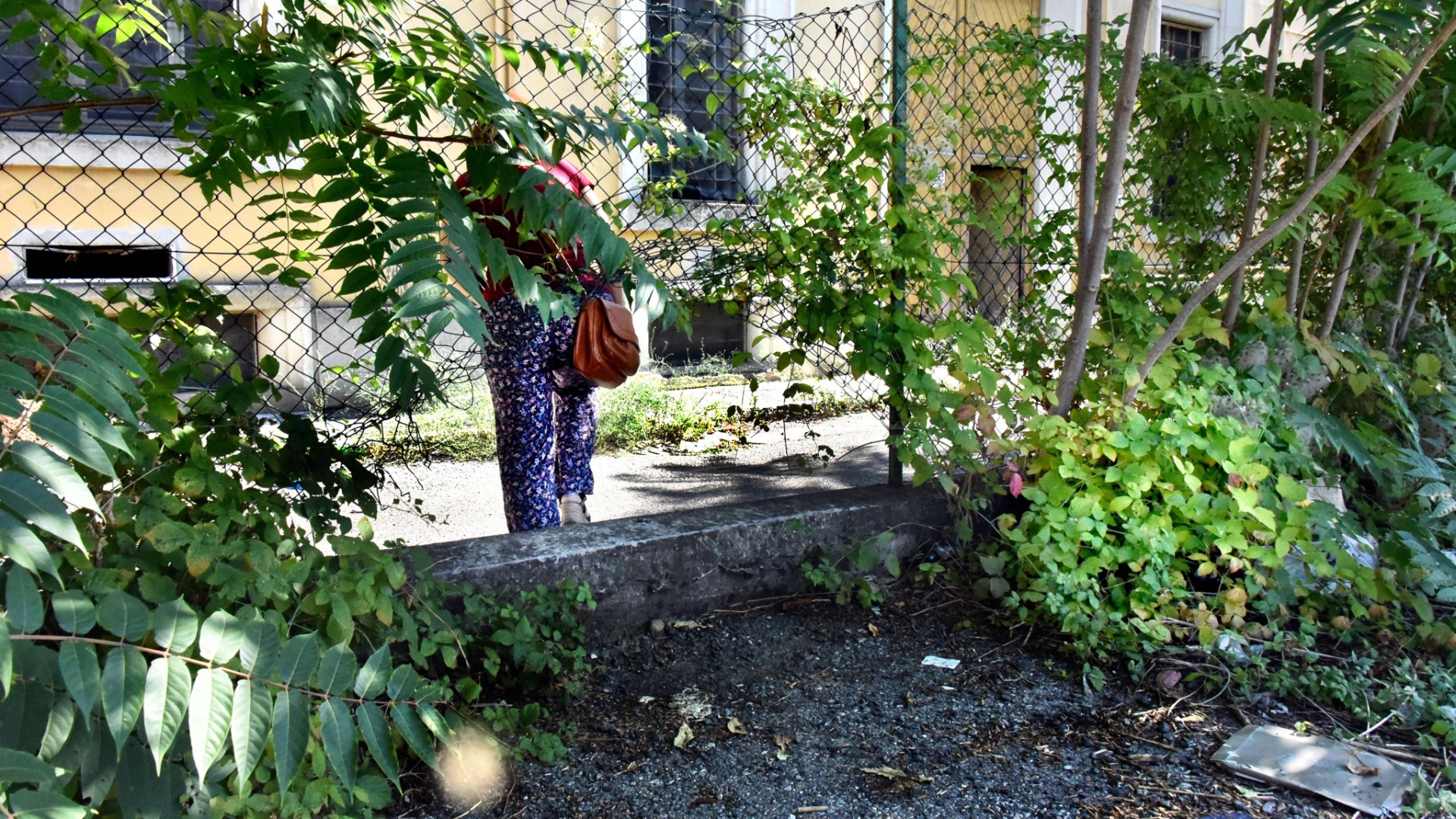 Da mercato dell'ortofrutta a residenza per sbandati. Foto