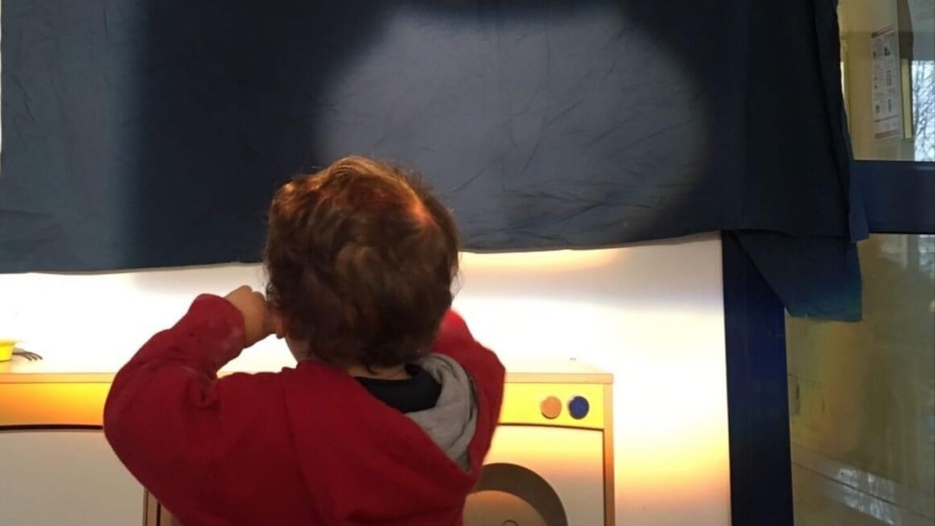 Elefante variopinto e Elefante che legge: riprendono le attività per bambini