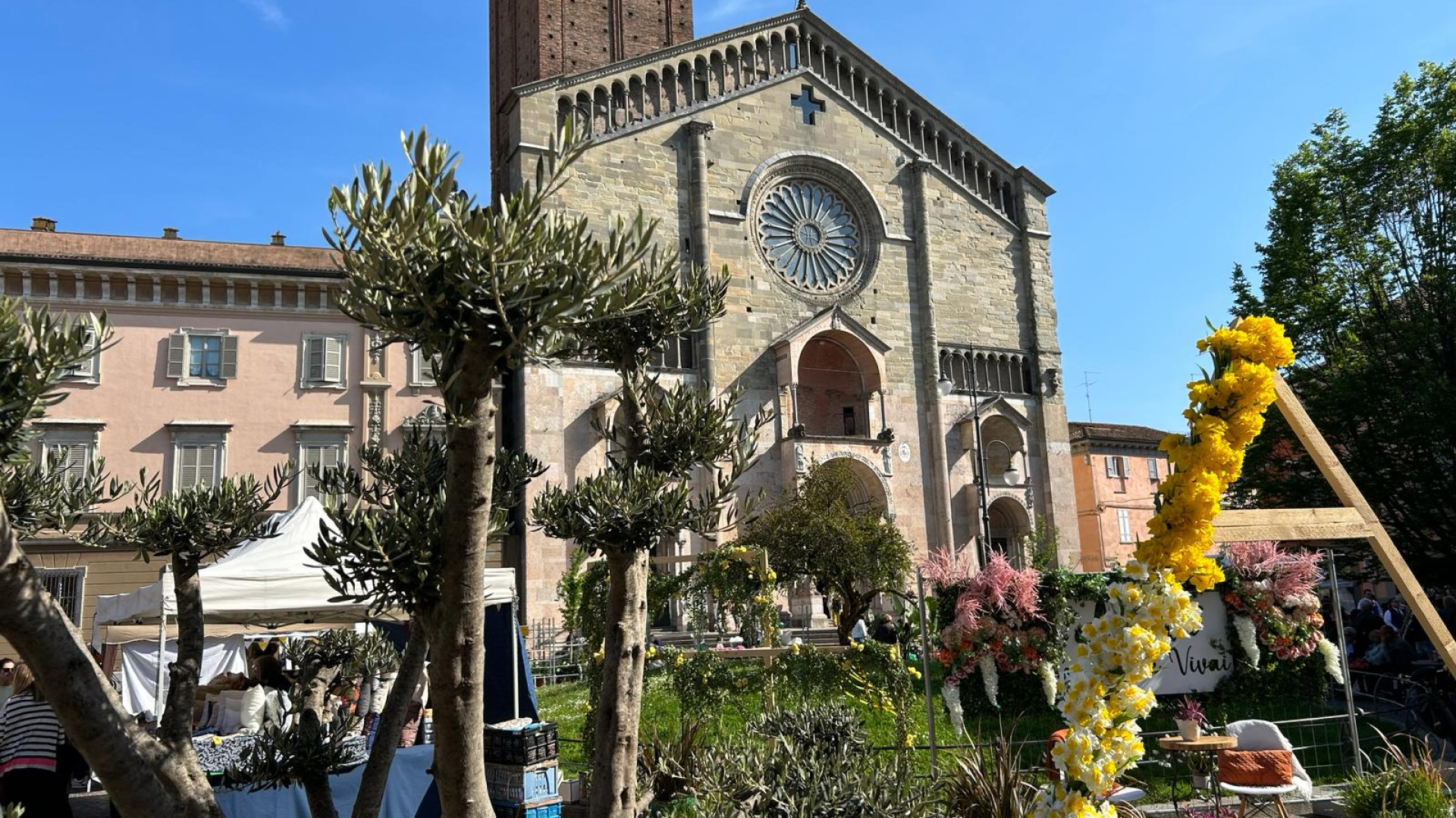 Cactus, limoni e tulipani:| la primavera invade il centro con "Piacenza in fiore"