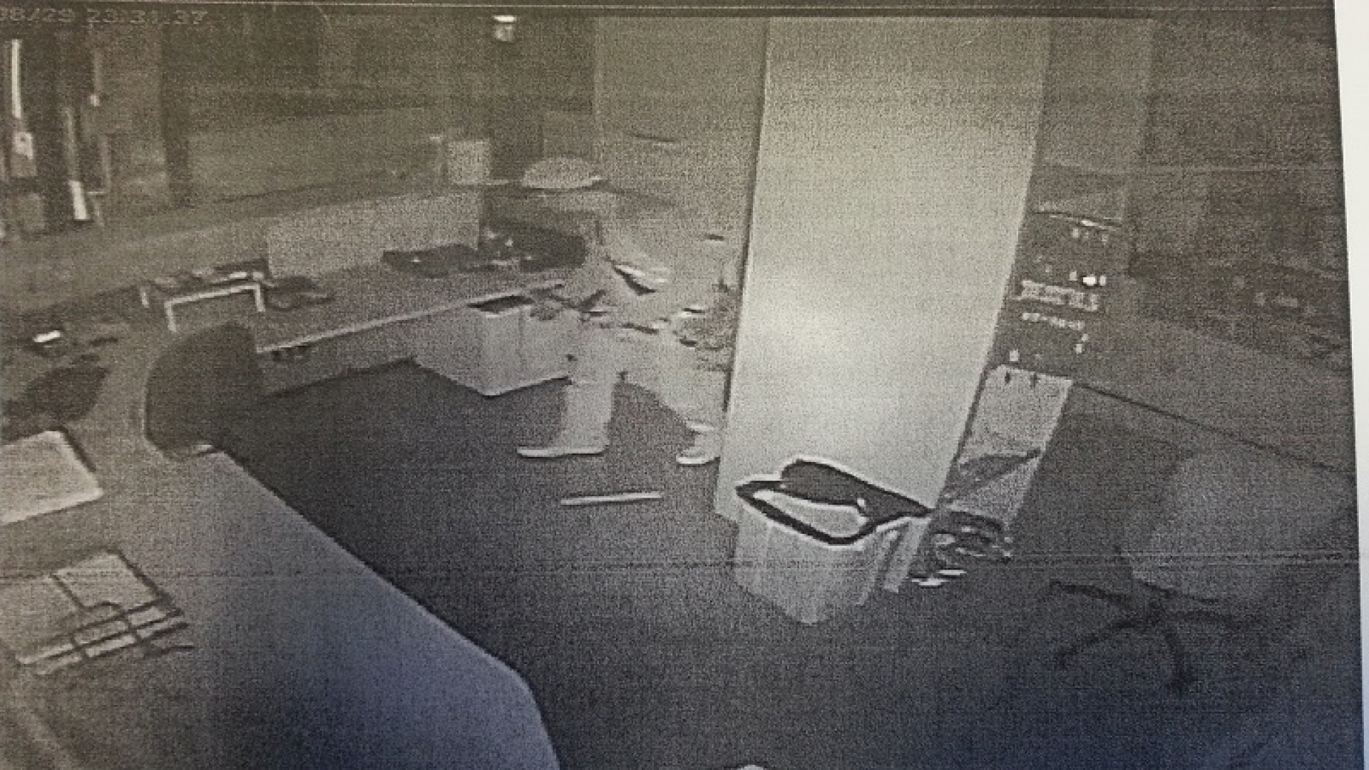 Furto alla piscina Farnesiana in piena notte: incastrato dalle telecamere