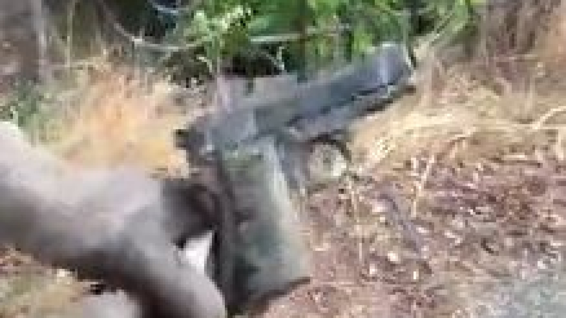 Villanova, ritrovata una pistola nel torrente: "Vecchia arma fabbricata nel 1940"
