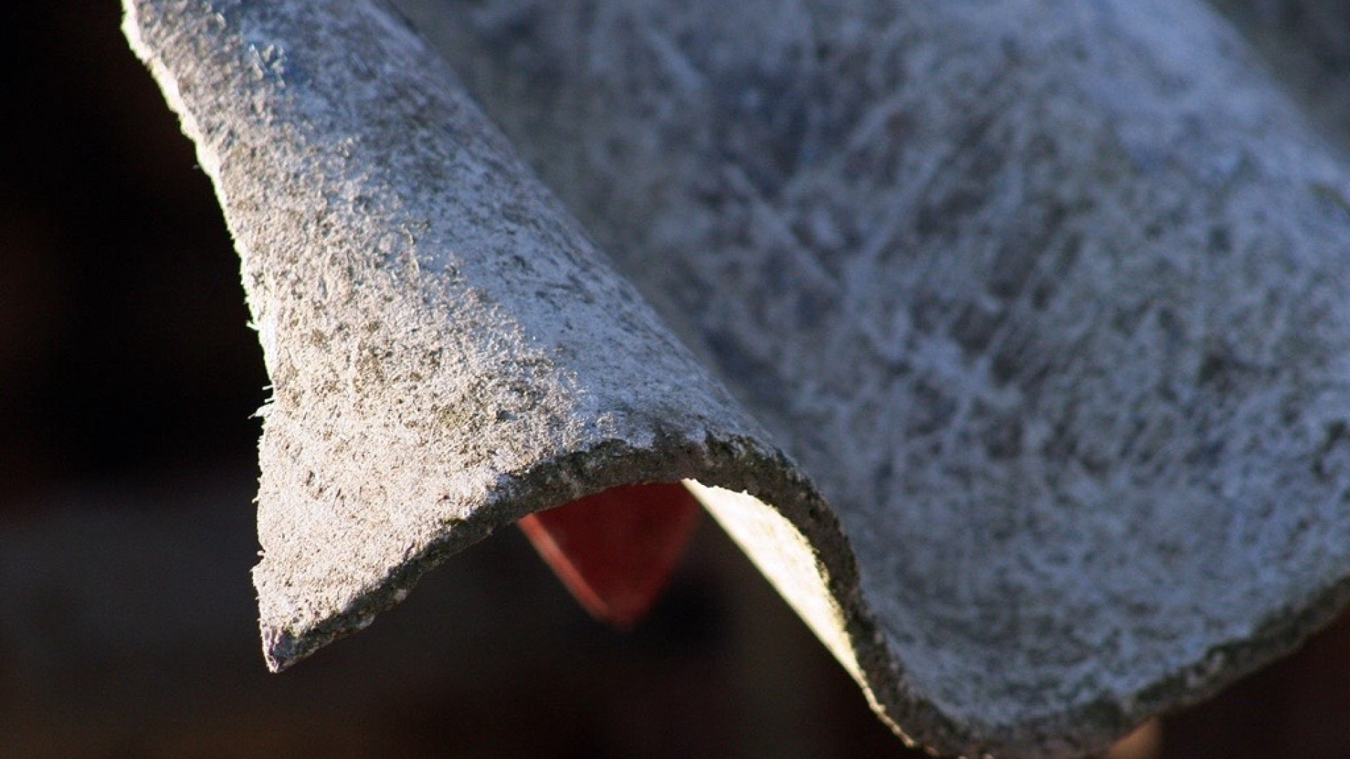 Lastre di amianto abbandonate in un campo a Gerbido, indagano i carabinieri