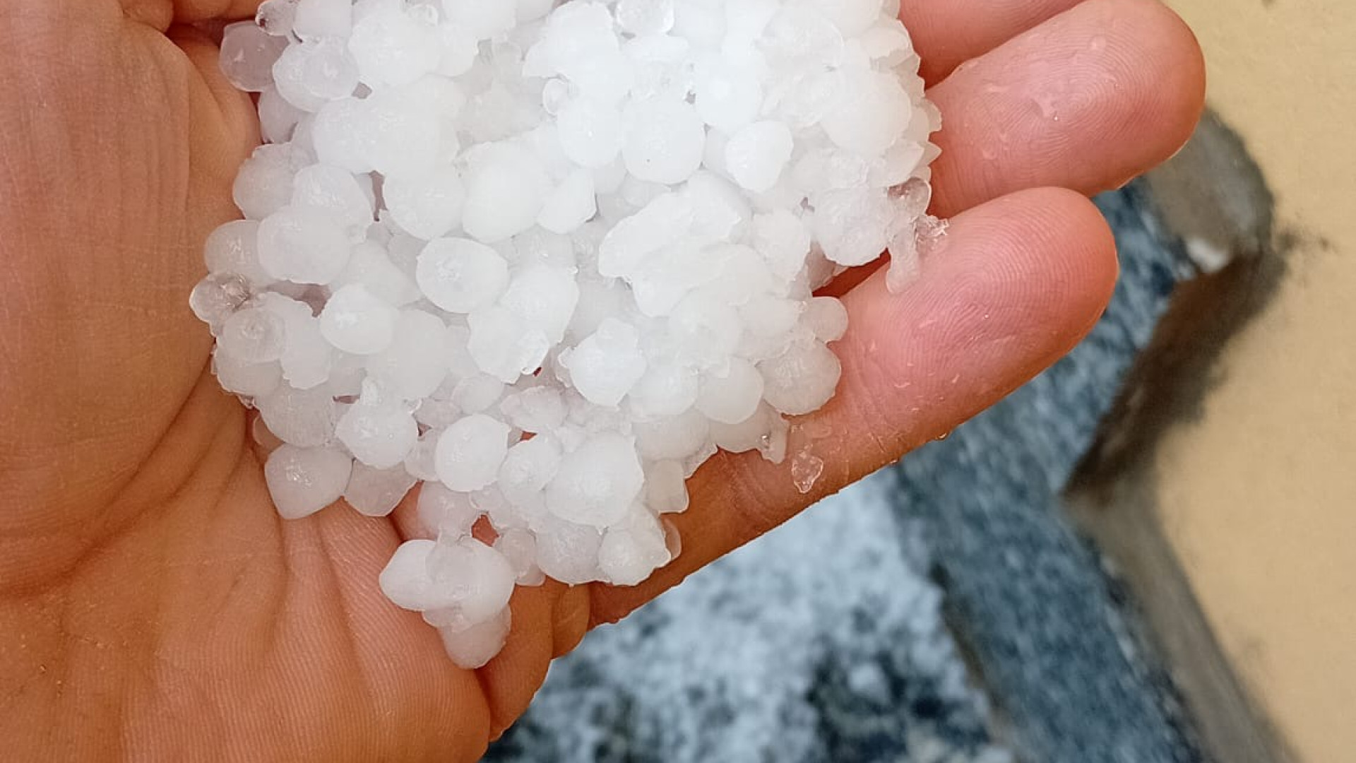 Grandine e bombe d'acqua in provincia, Coldiretti: "Danni a germogli e grappoli"