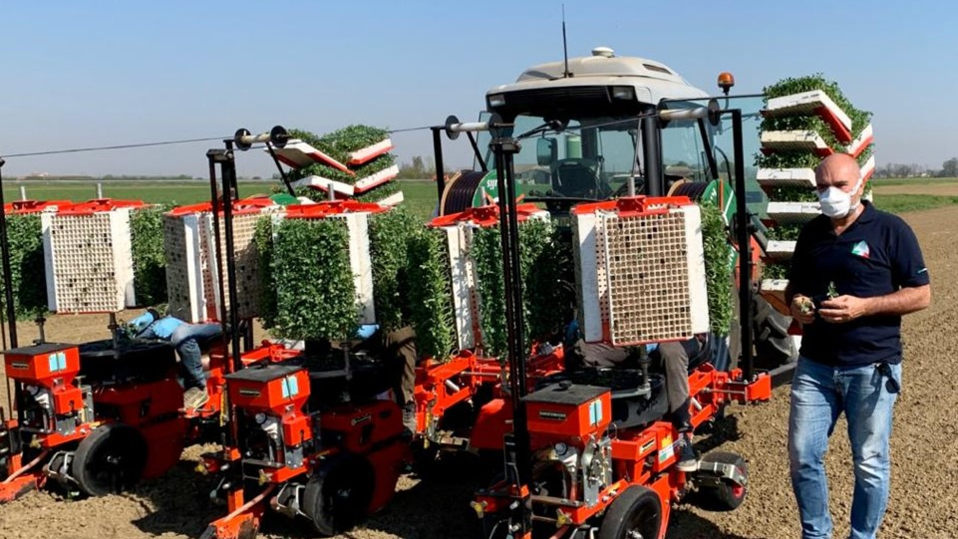 Trapianti di pomodori al 30%: campagna nel vivo, ma manca la manodopera