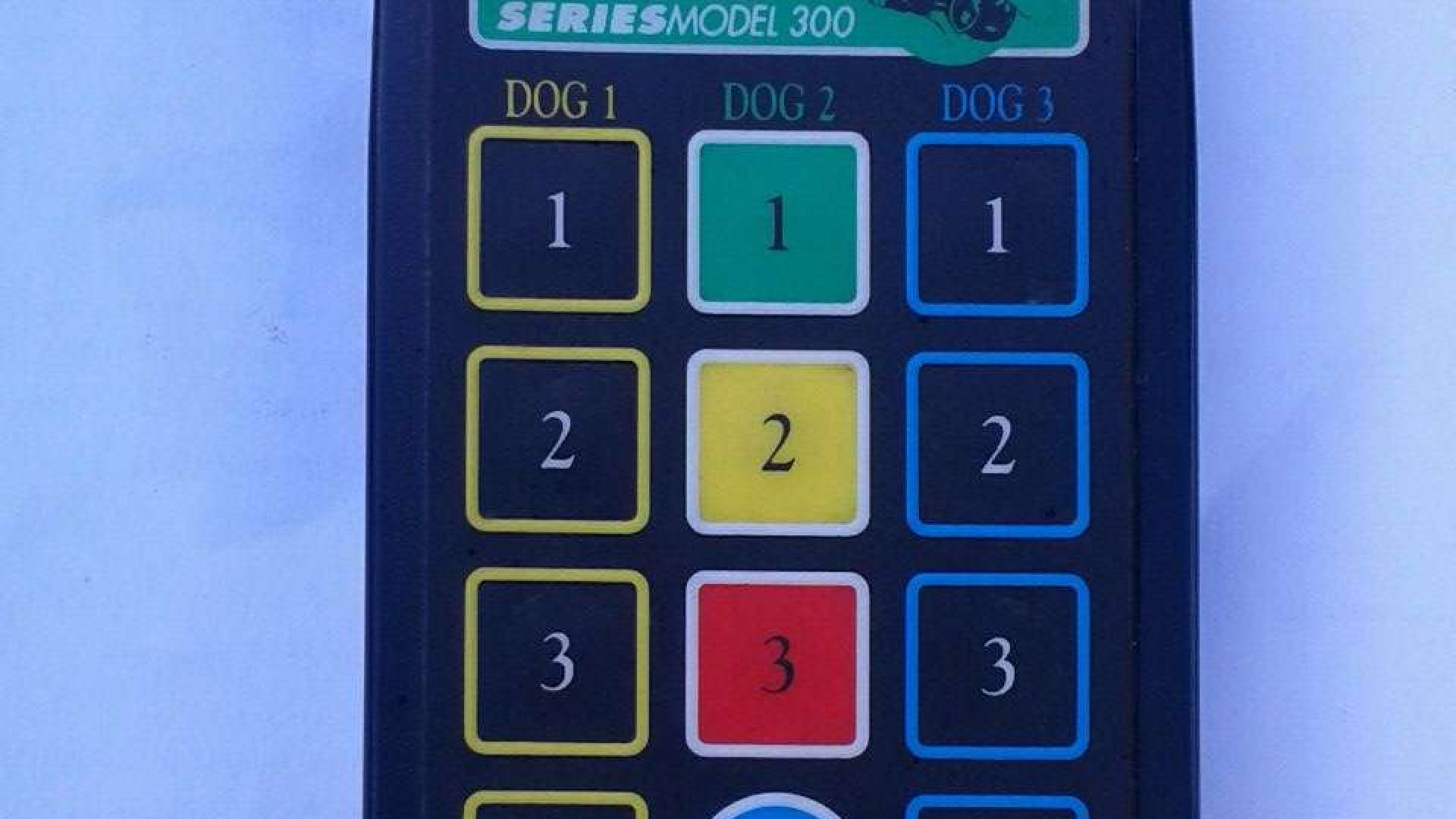 A caccia con richiami vivi e collari elettrici per i cani, quattro denunce