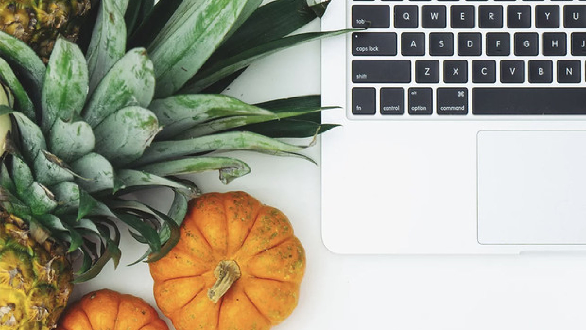 Startup innovative Made in Romagna Tech