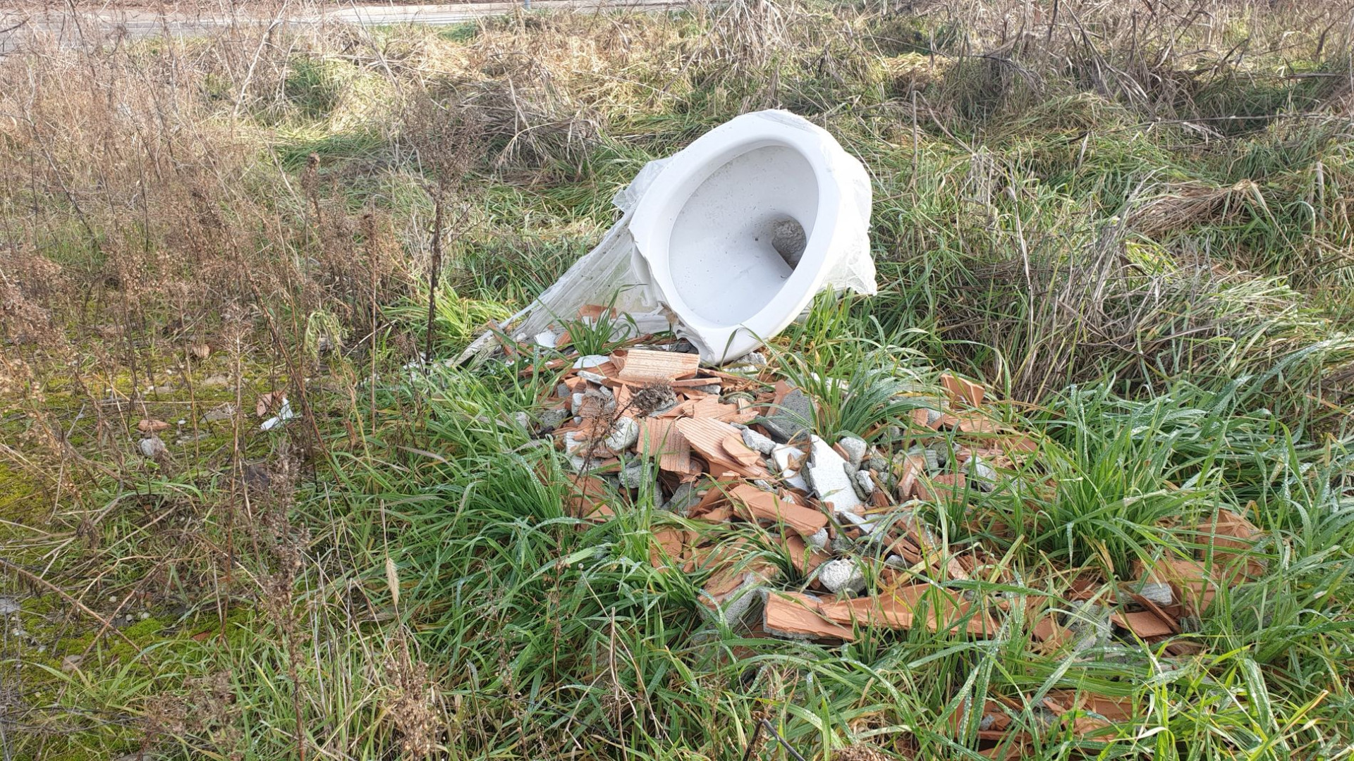 Sanitari, residui di cantiere e mobili: discarica abusiva in un campo a Montale