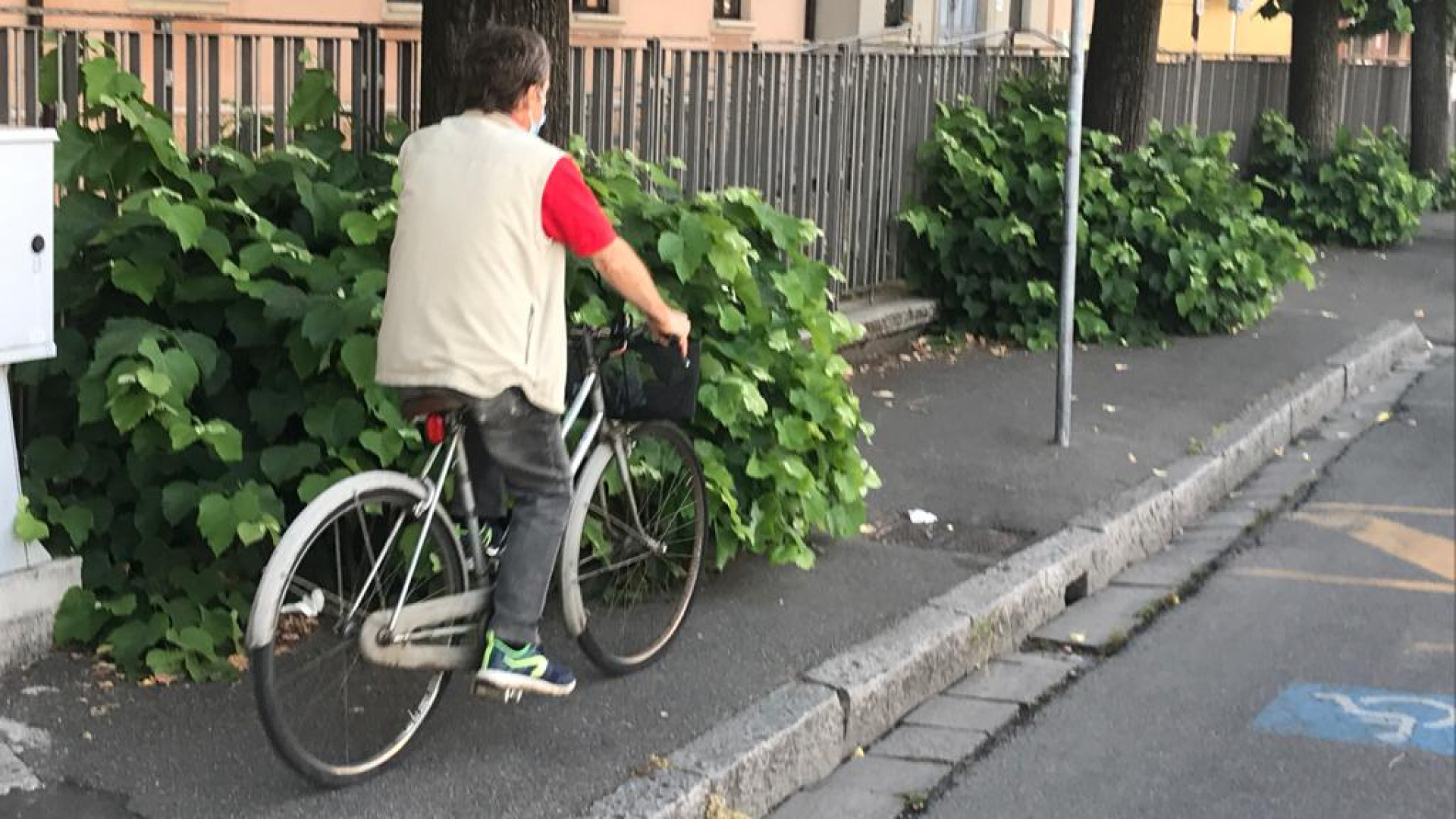 Erbacce e cespugli, i cittadini: "Marciapiedi invasi dalla vegetazione"