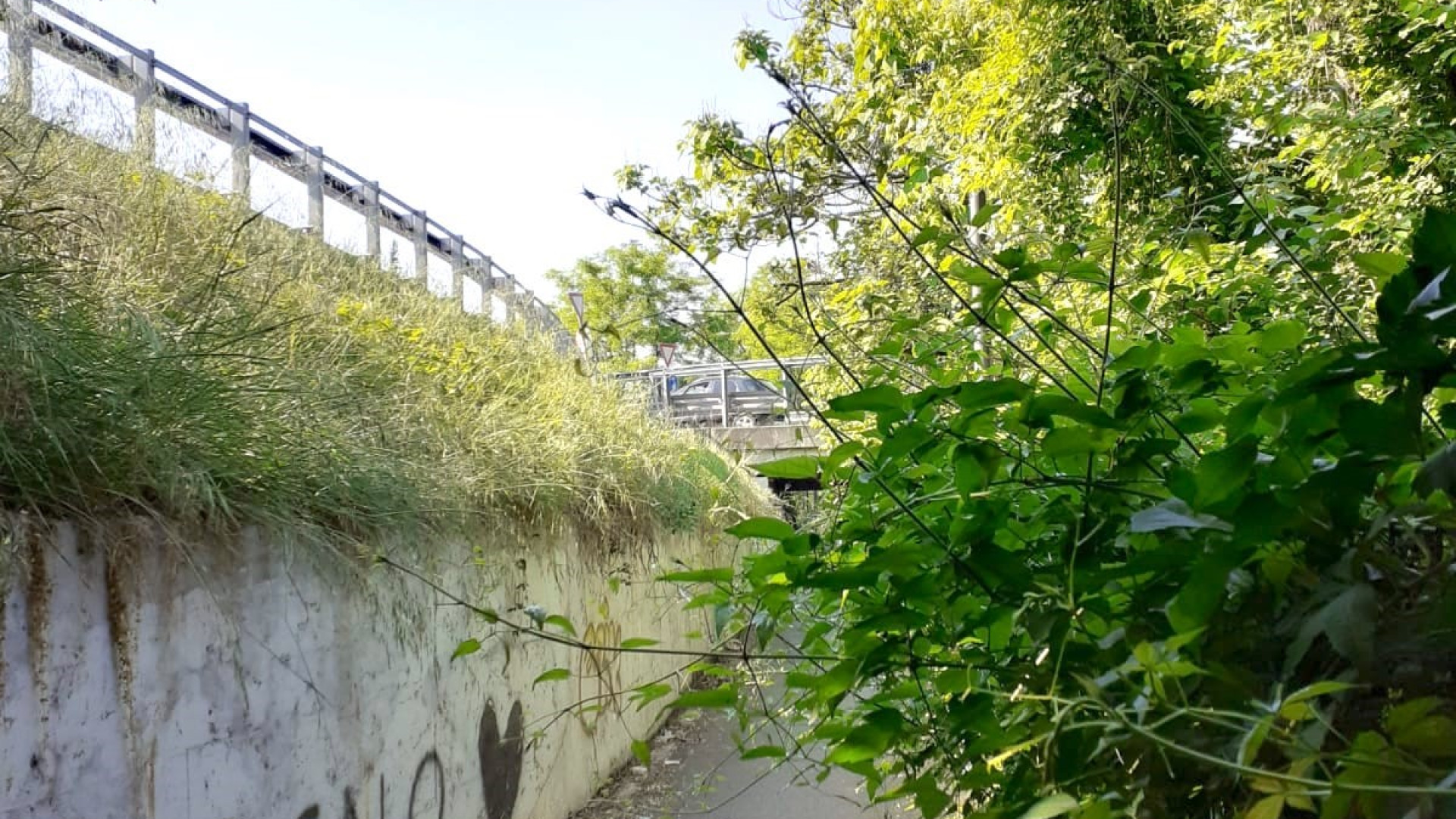 Bando del verde pubblico, “dimenticati” disabili e soggetti deboli