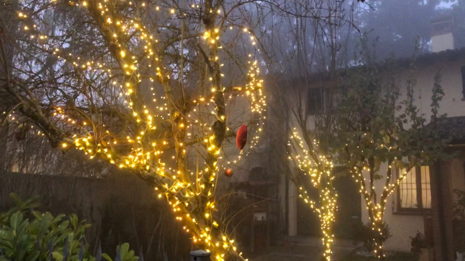 Aria di Natale a Mortizza, Gerbido e Bosco: i volontari illuminano le strade