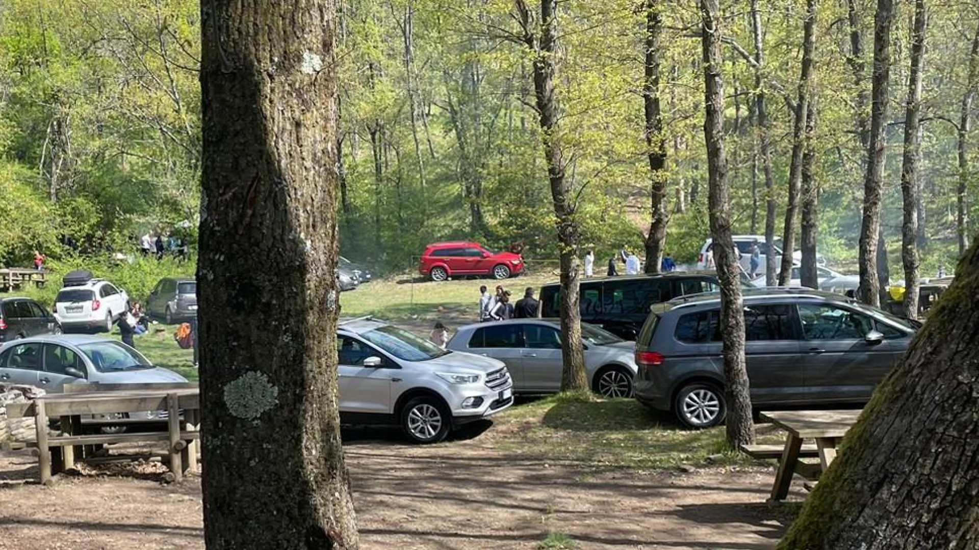 Assalto di gitanti a Brodo. Abitanti esasperati: "Rifiuti, alberi tagliati e pure spari"