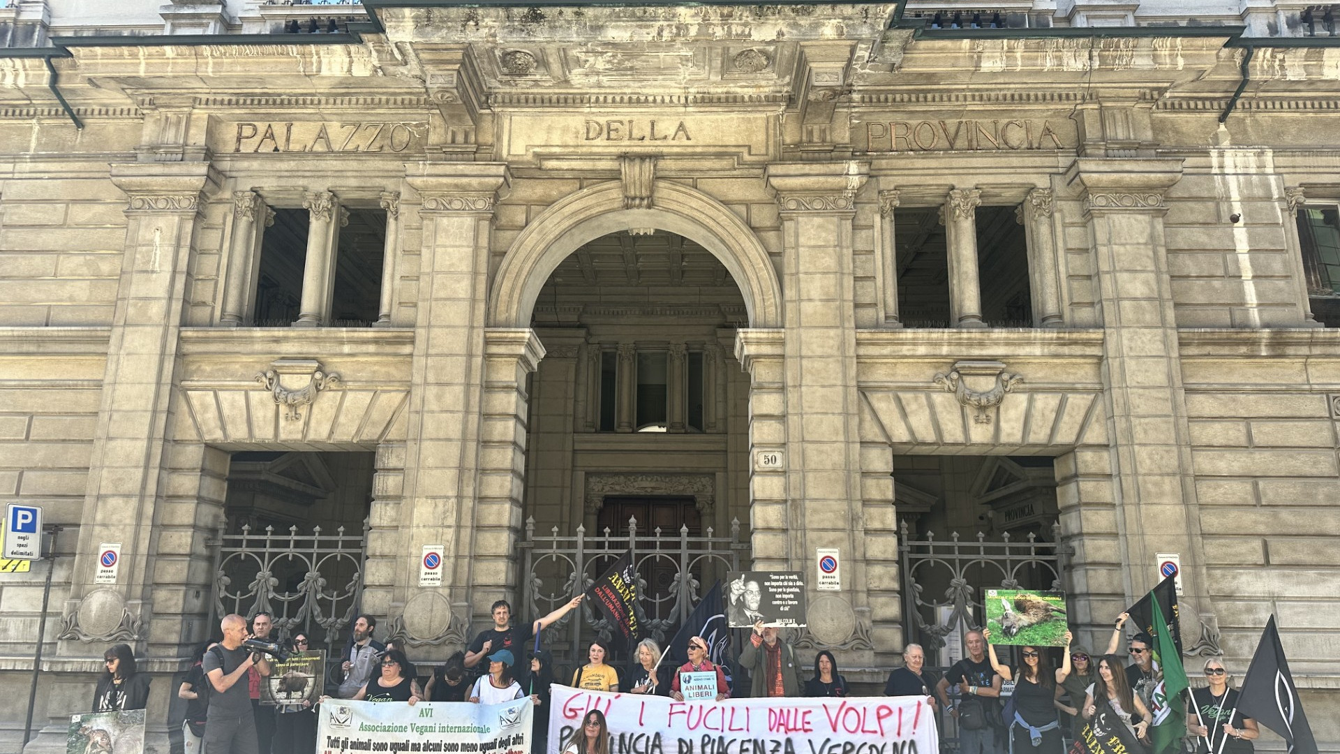 "Giù i fucili dalle volpi": attivisti a Piacenza contro l'abbattimento degli animali