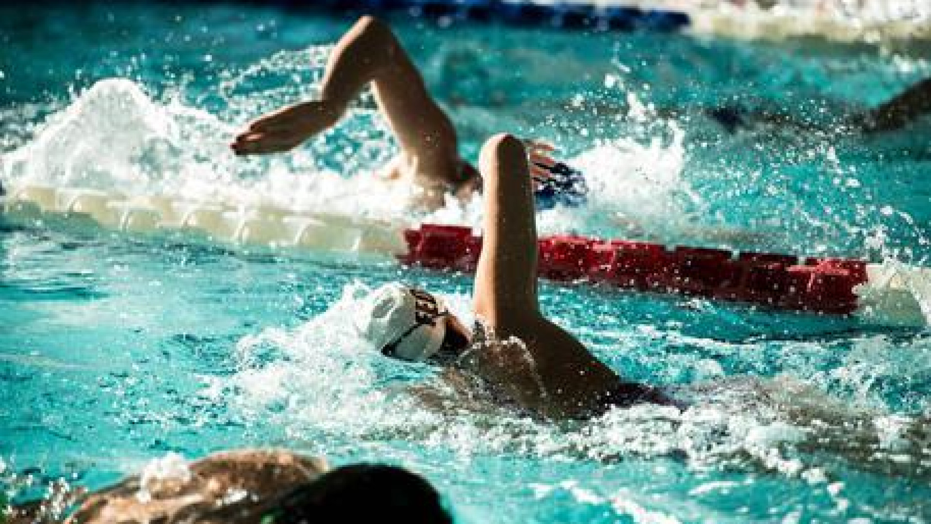 La Vittorino trionfa ai Regionali di nuovo. Barbazza vince sia 100 che i 200 dorso