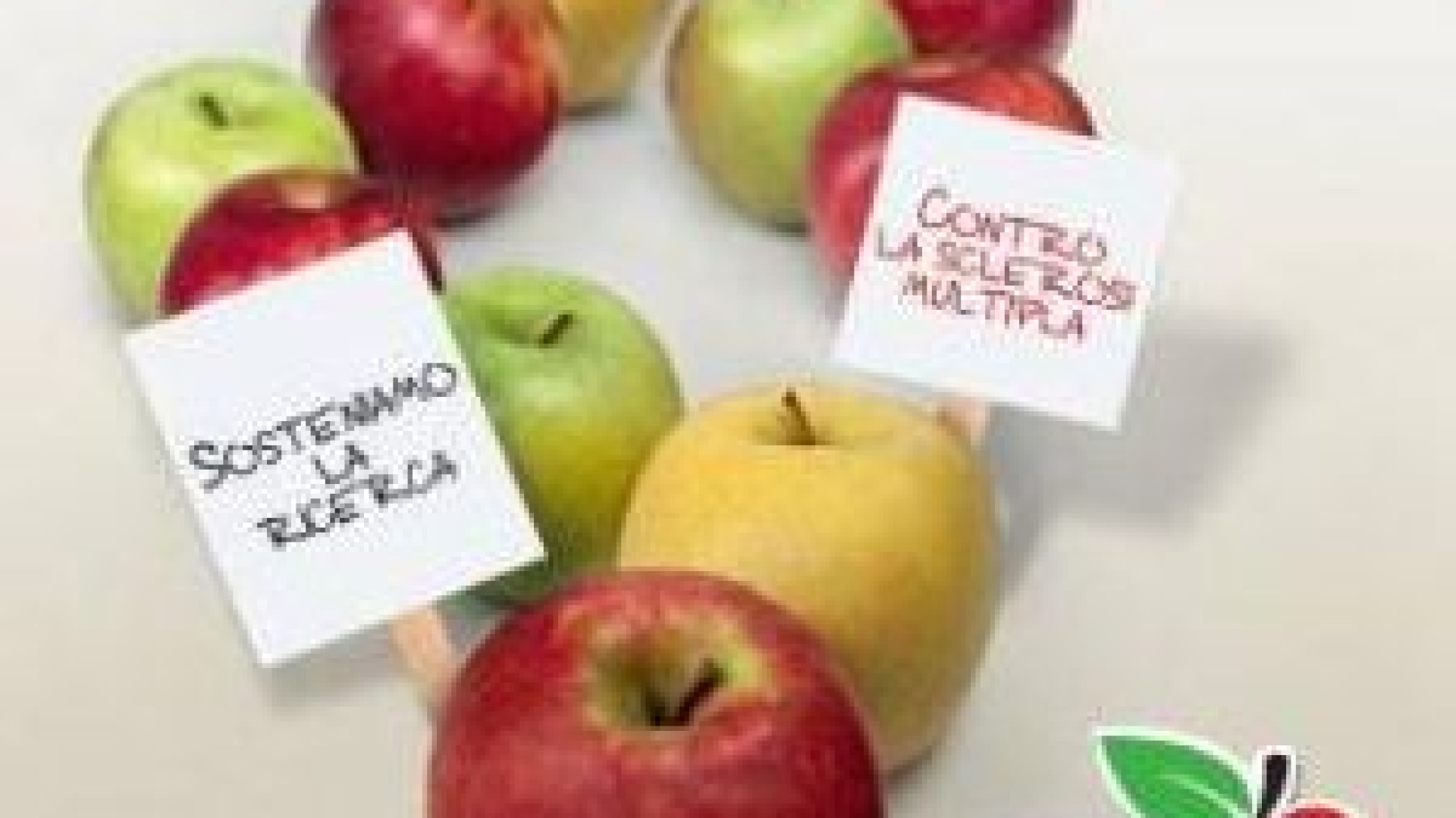 Tornano "Le mele di Aism" il 12 e il 13 nelle piazze piacentine per la ricerca