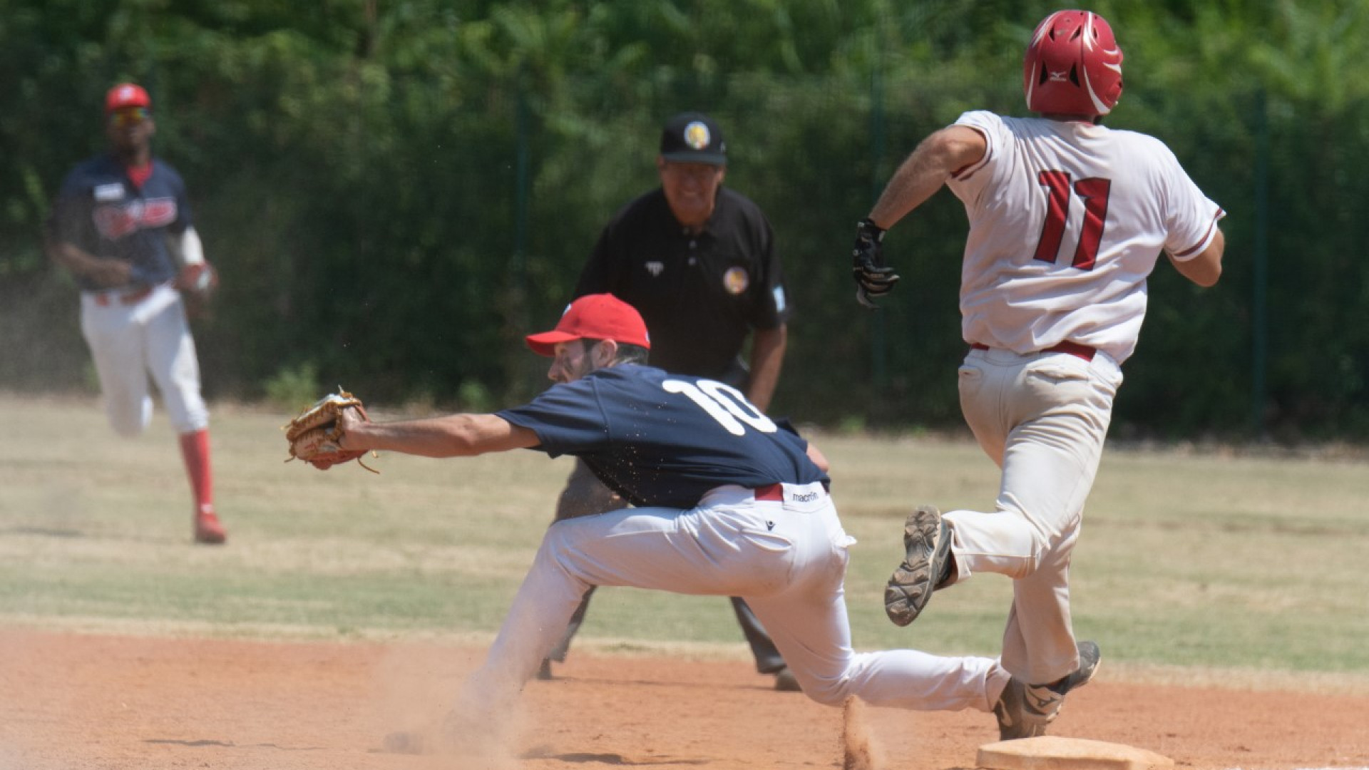 Riparte la stagione del Piacenza baseball: torneo a Bergamo nel weekend