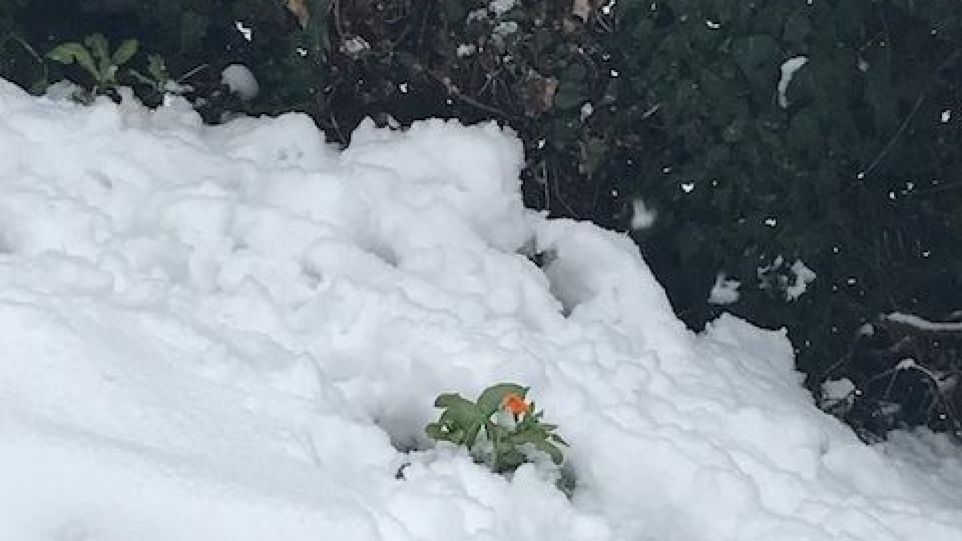 Neve e gelo nel Piacentino, è allerta alta; rischio sulle autostrade
