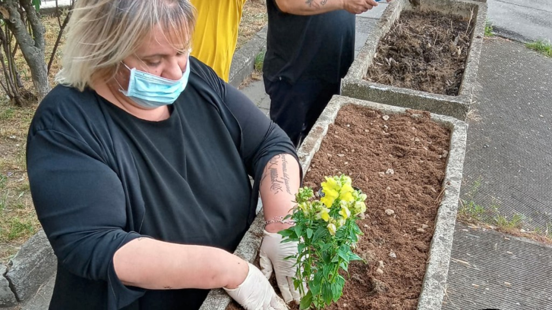Via Marinai d'Italia, nuovi fiori e pulizia. I residenti si mettono in gioco