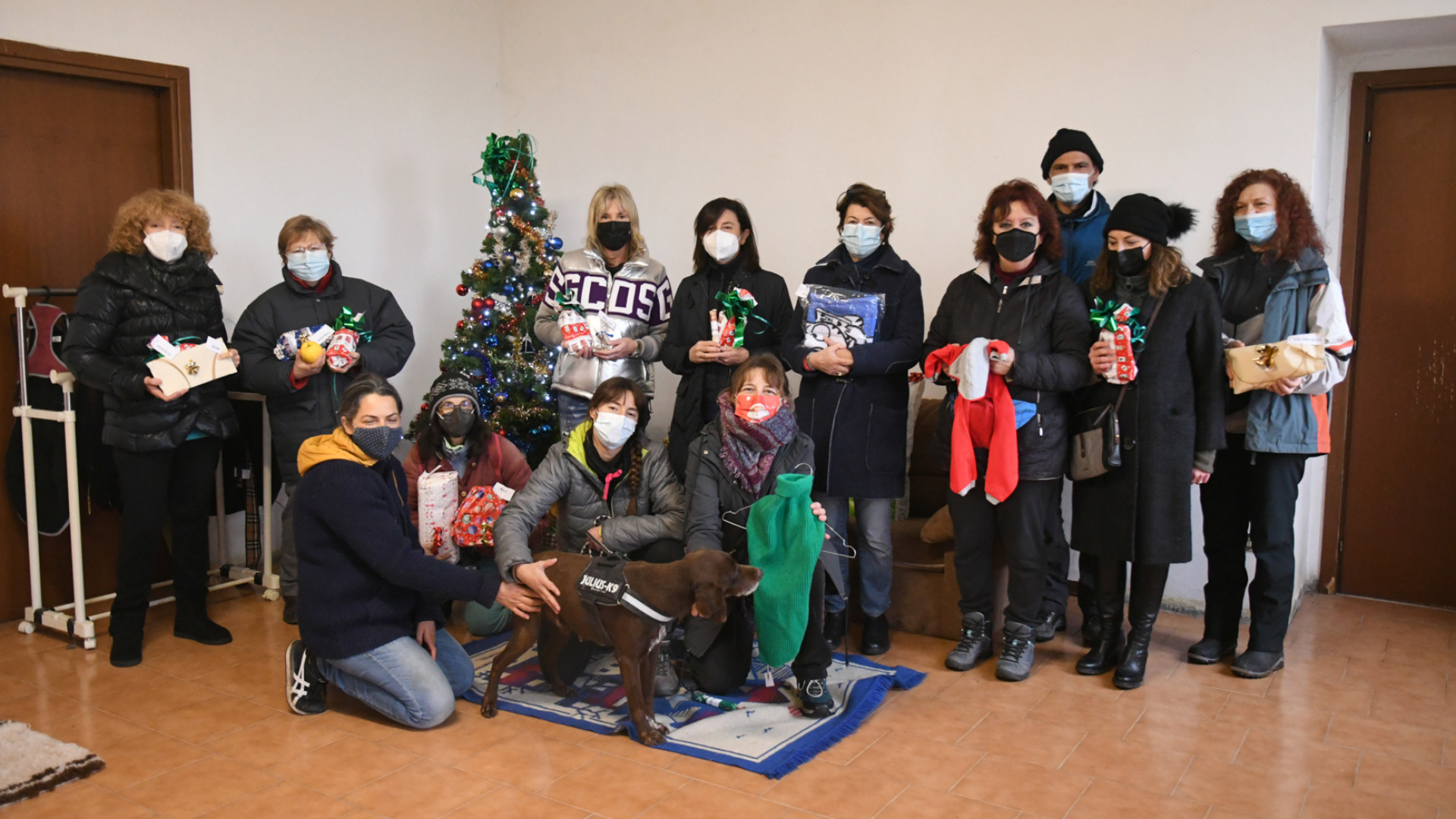 Doni natalizi ai quattro zampe: festa di Santo Stefano nel canile di Piacenza