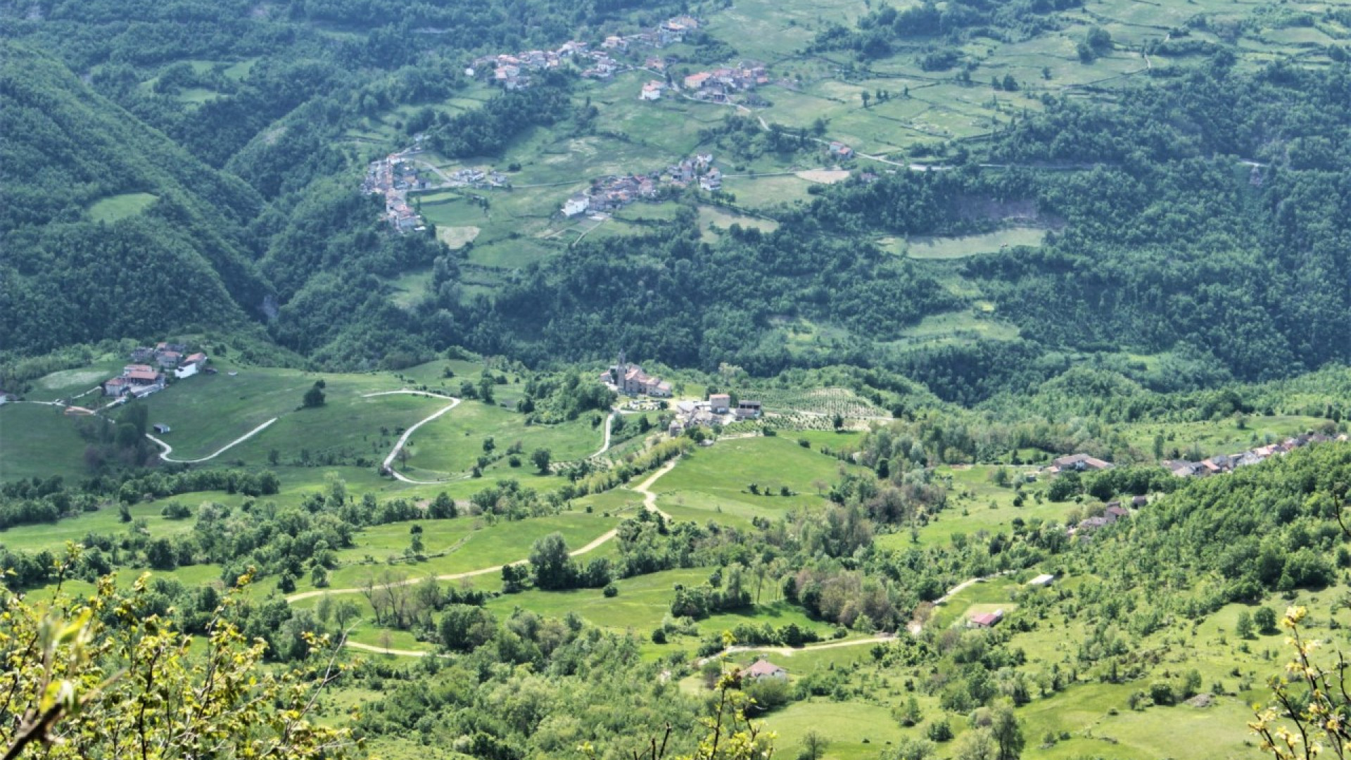 Pensieri in quota. Monte Osero: le lotte partigiane, l'albero e la marcia longa