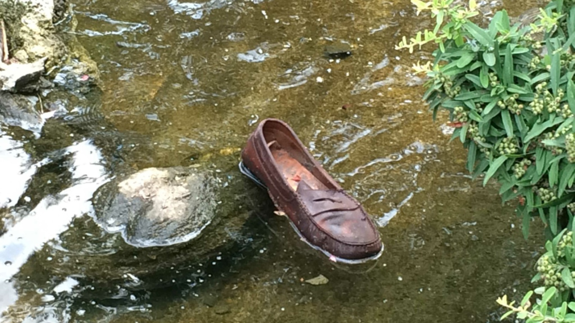 Erba bruciata e bivacco ai giardini Margherita e Merluzzo