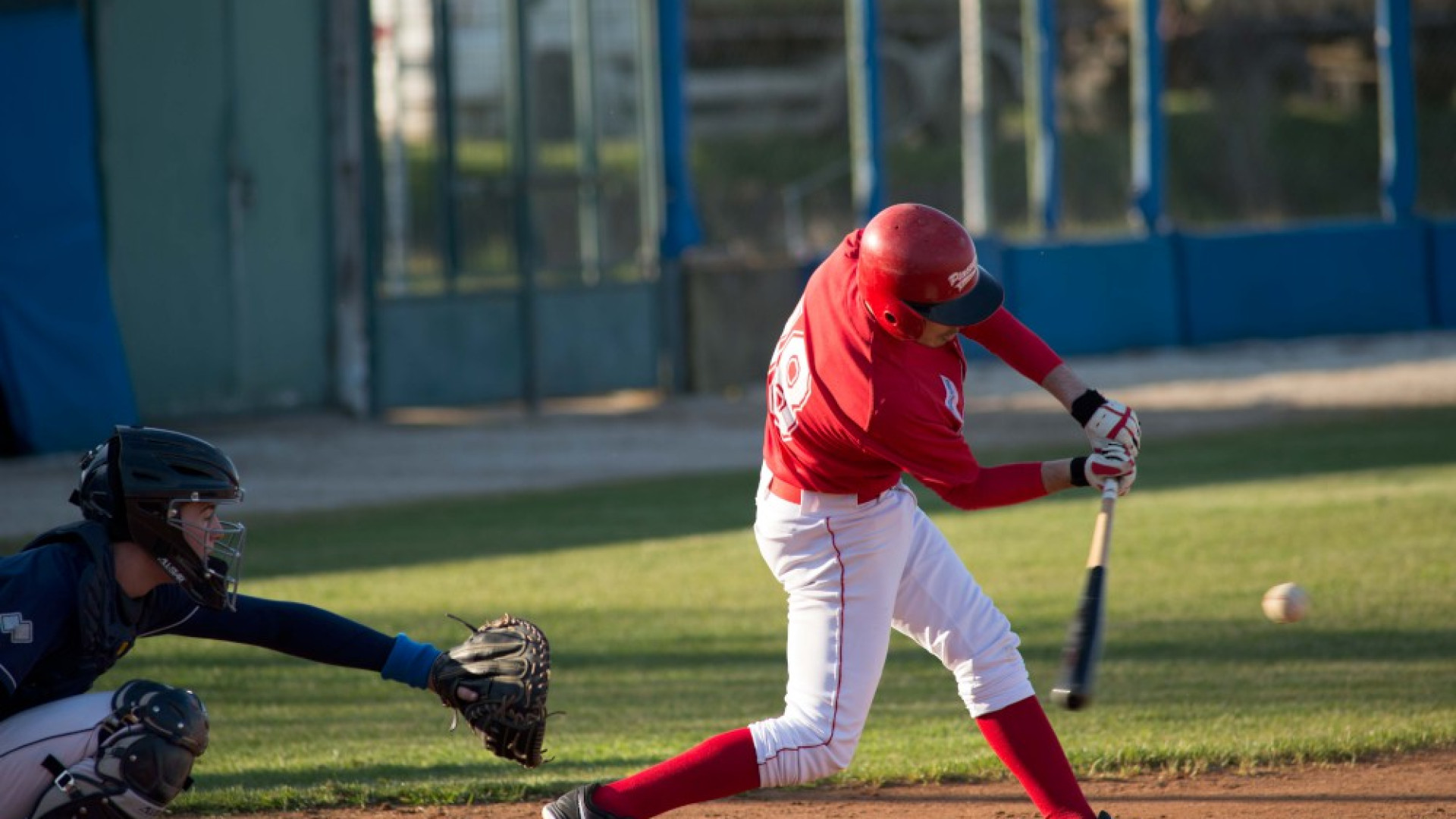 Piacenza Baseball, con il Junior Parma una doppia vittoria che vale oro