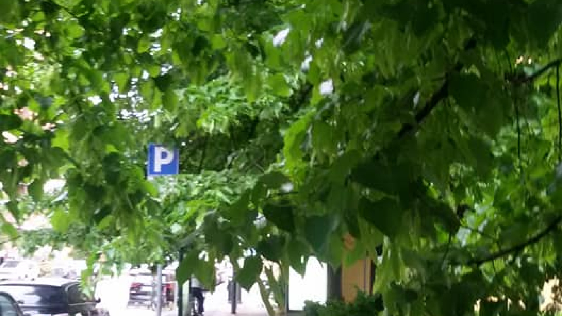 Erba alta nei parchi, rami invadenti e fontanelle senz'acqua