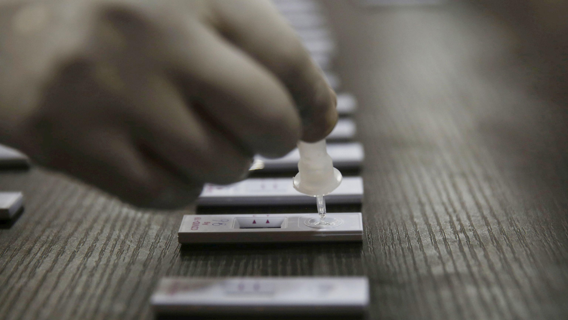 Da oggi test sierologici rapidi e gratuiti per gli studenti e i loro famigliari