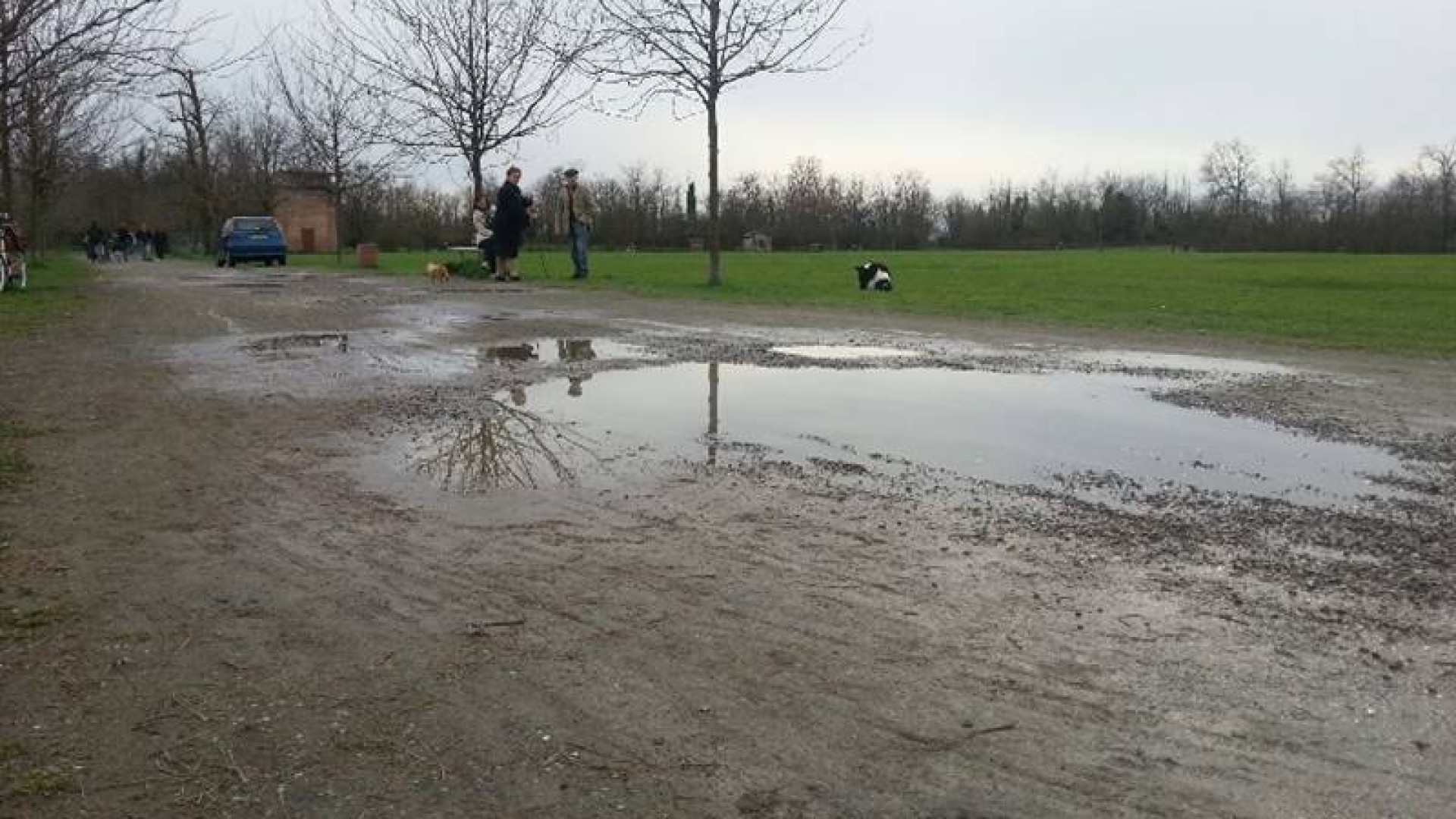 Incuria e degrado al parco della Galleana, i visitatori: "Bisogna fare qualcosa"