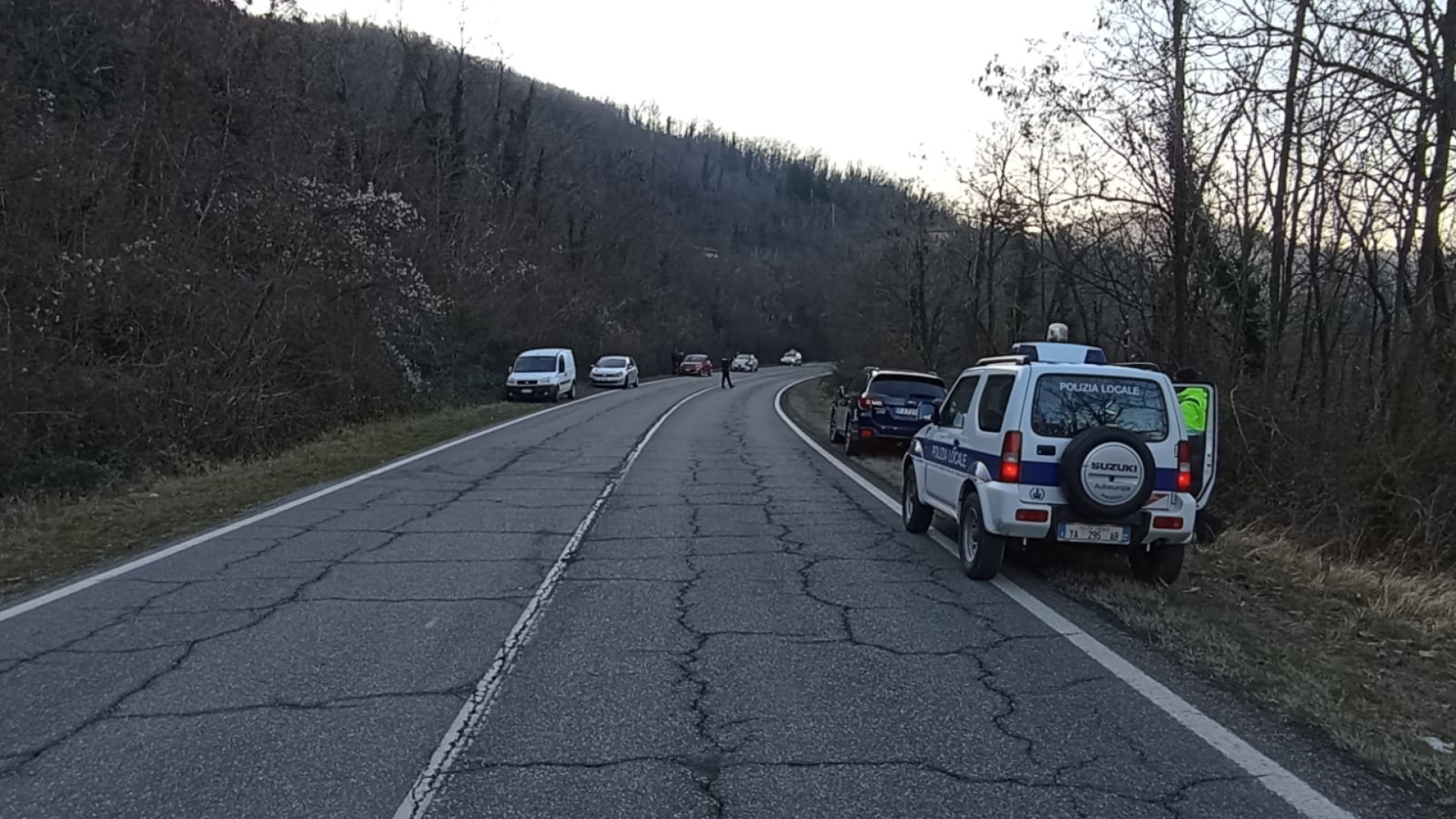 Due cinghiali attraversano la statale 654 e provocano un tamponamento a catena