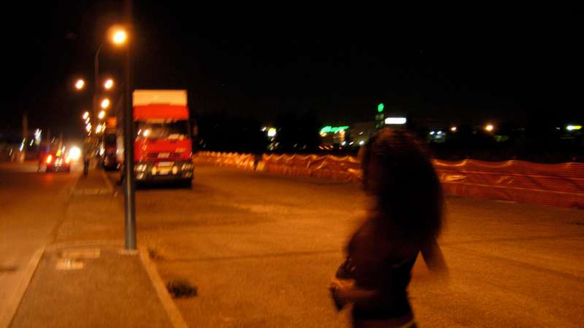 Ruba il portafoglio a un camionista ma dimentica la borsetta con i documenti
