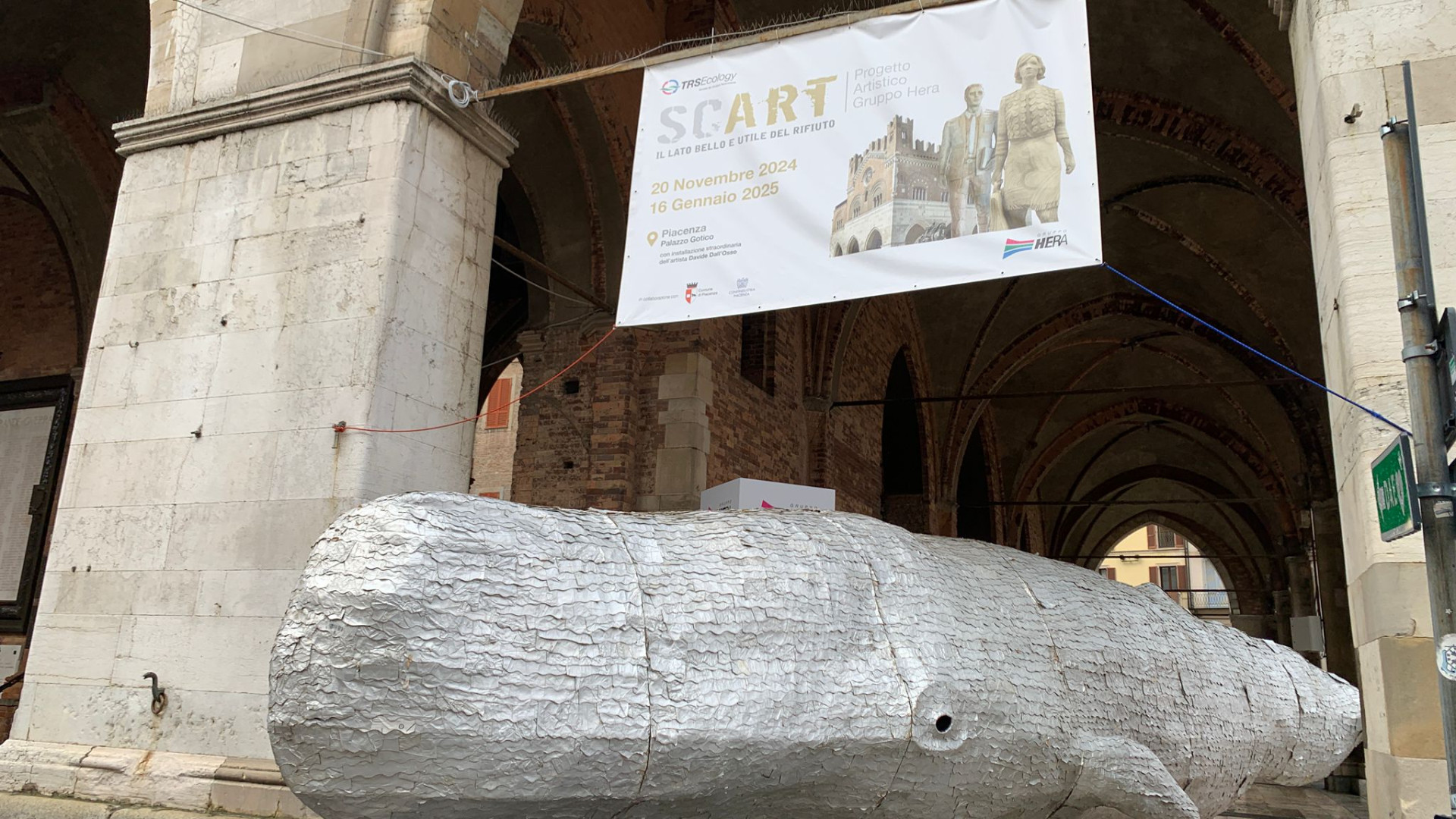 Un capodoglio in piazza Cavalli, oltre 4mila tetrapak per invitare alla mostra Scart