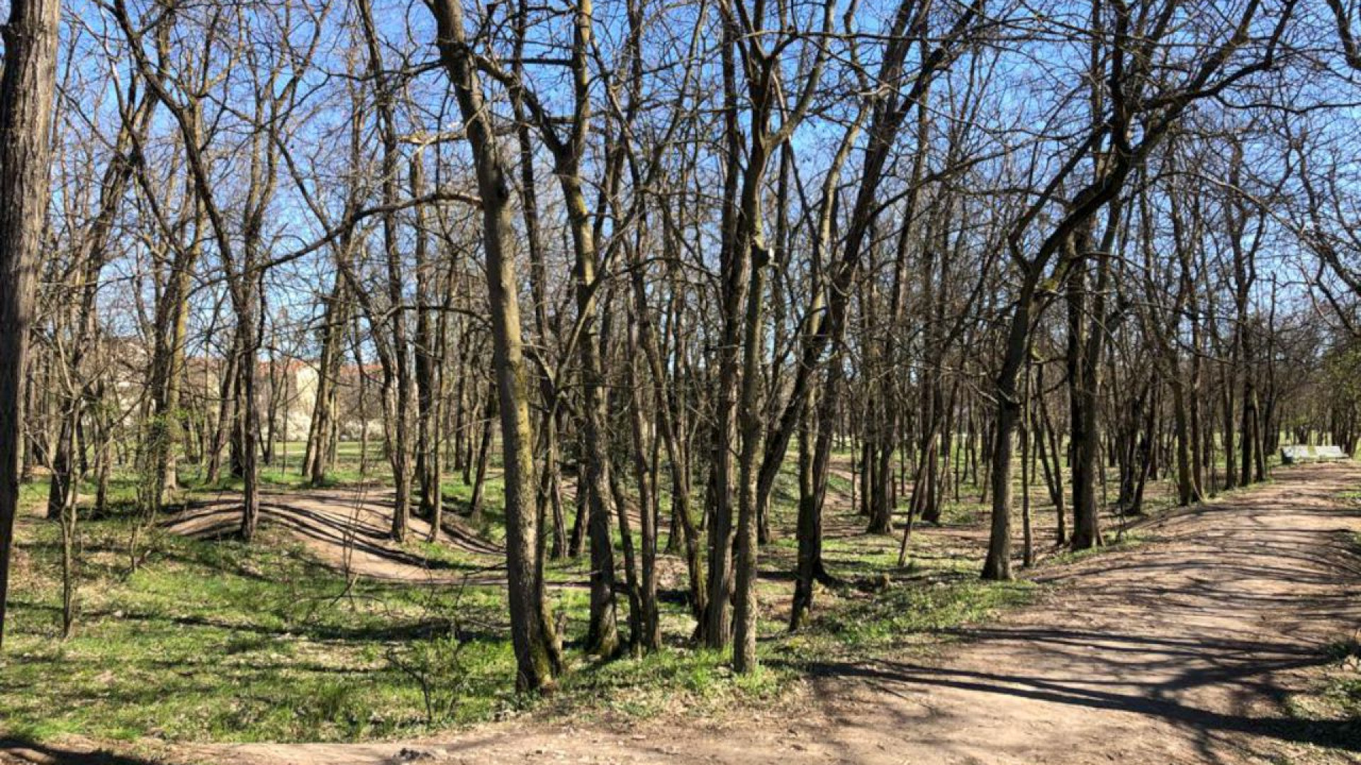 Parco della Galleana, riqualificato il verde danneggiato dalla neve
