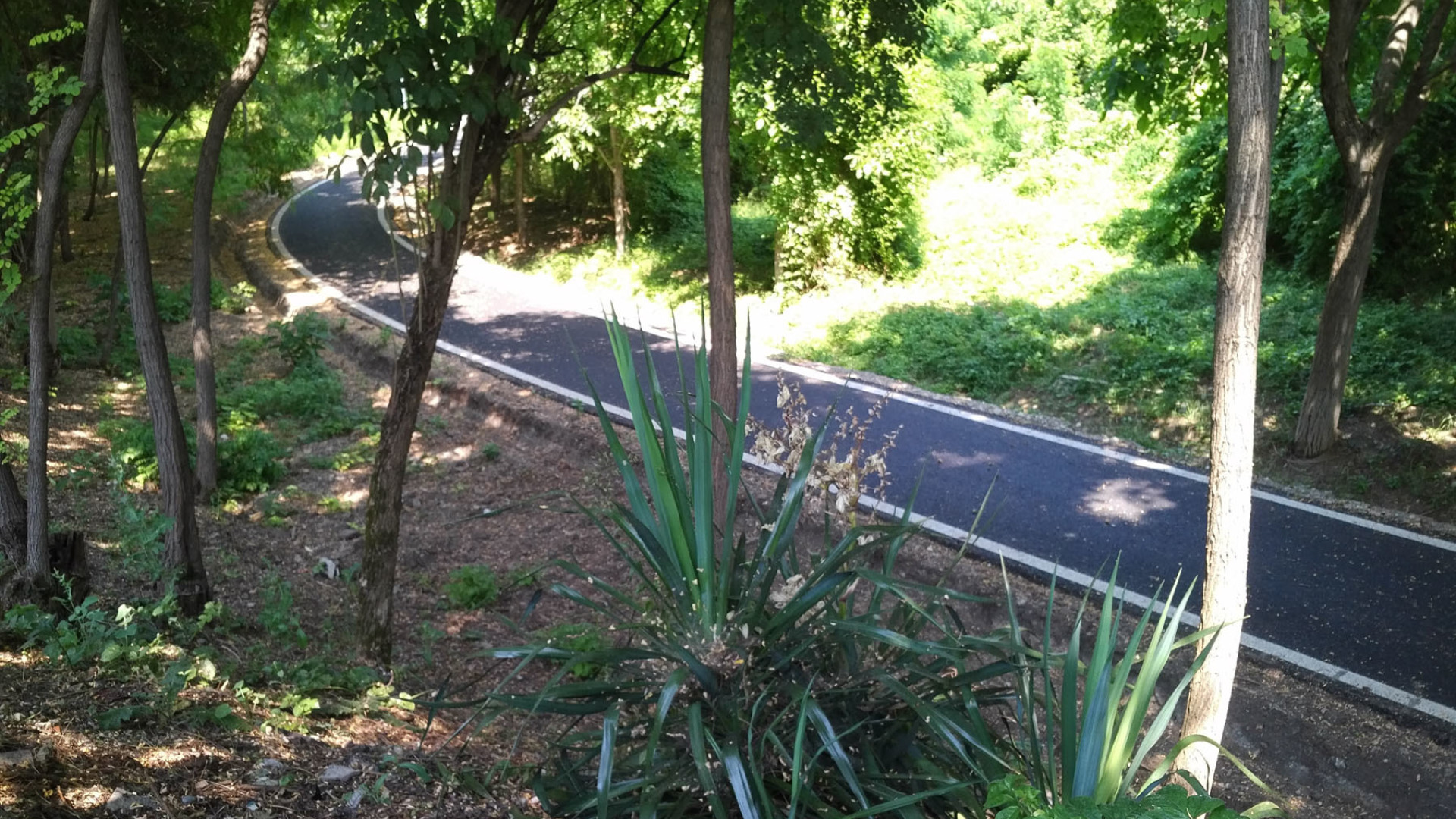 La pista ciclabile della logistica è pronta: i lavoratori la utilizzano già