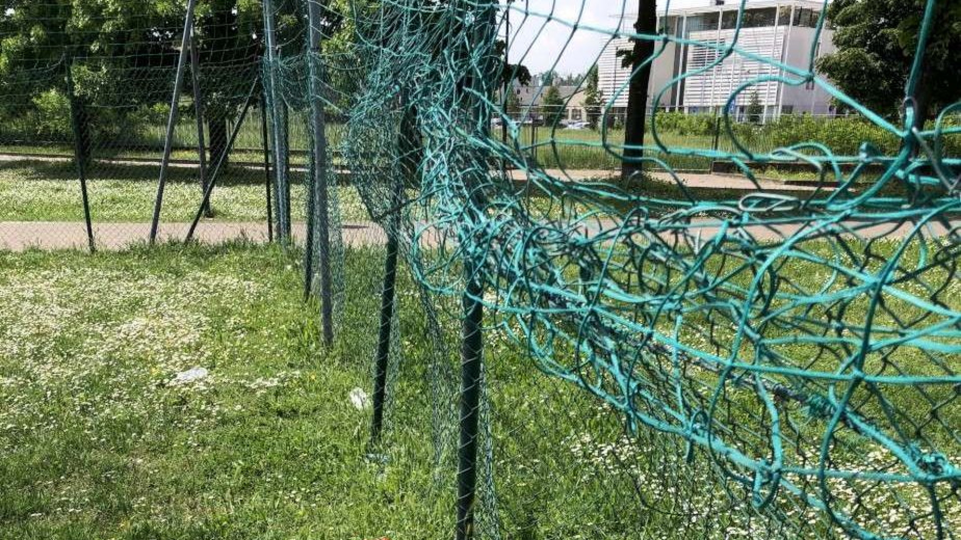 Lite per il campo da calcio: 14enne picchia coetaneo e sua madre. Denunciato