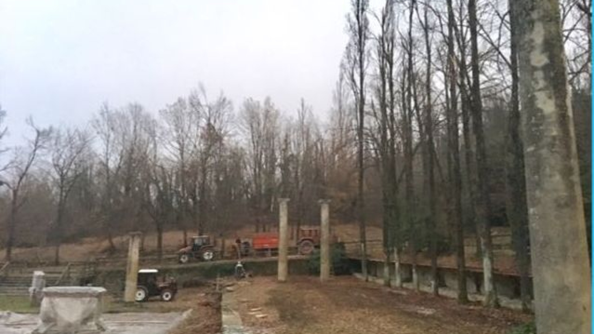 Dopo la pulizia da alberi e rami tornano visibili le aree religiose di Veleia Romana