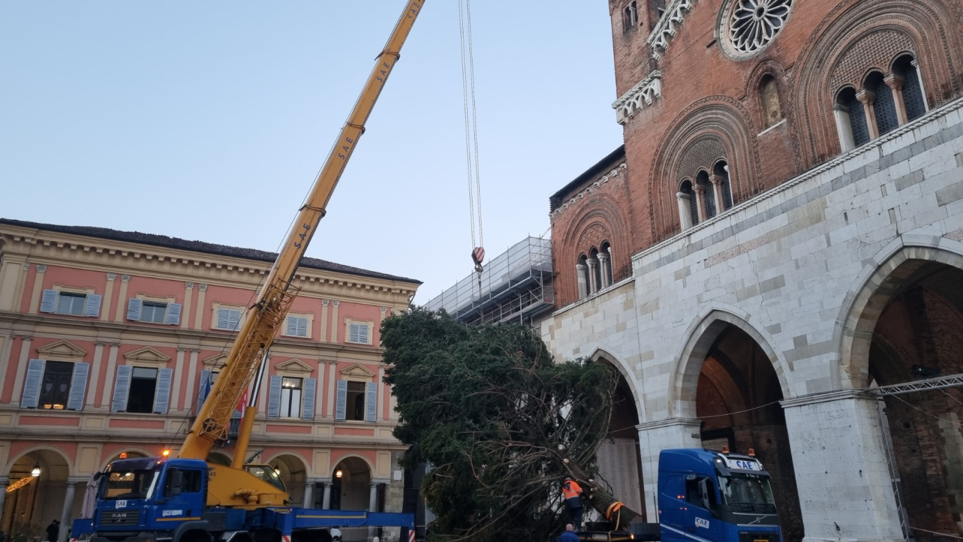 L'albero di Natale è arrivato in piazza Cavalli: oggi l'inaugurazione