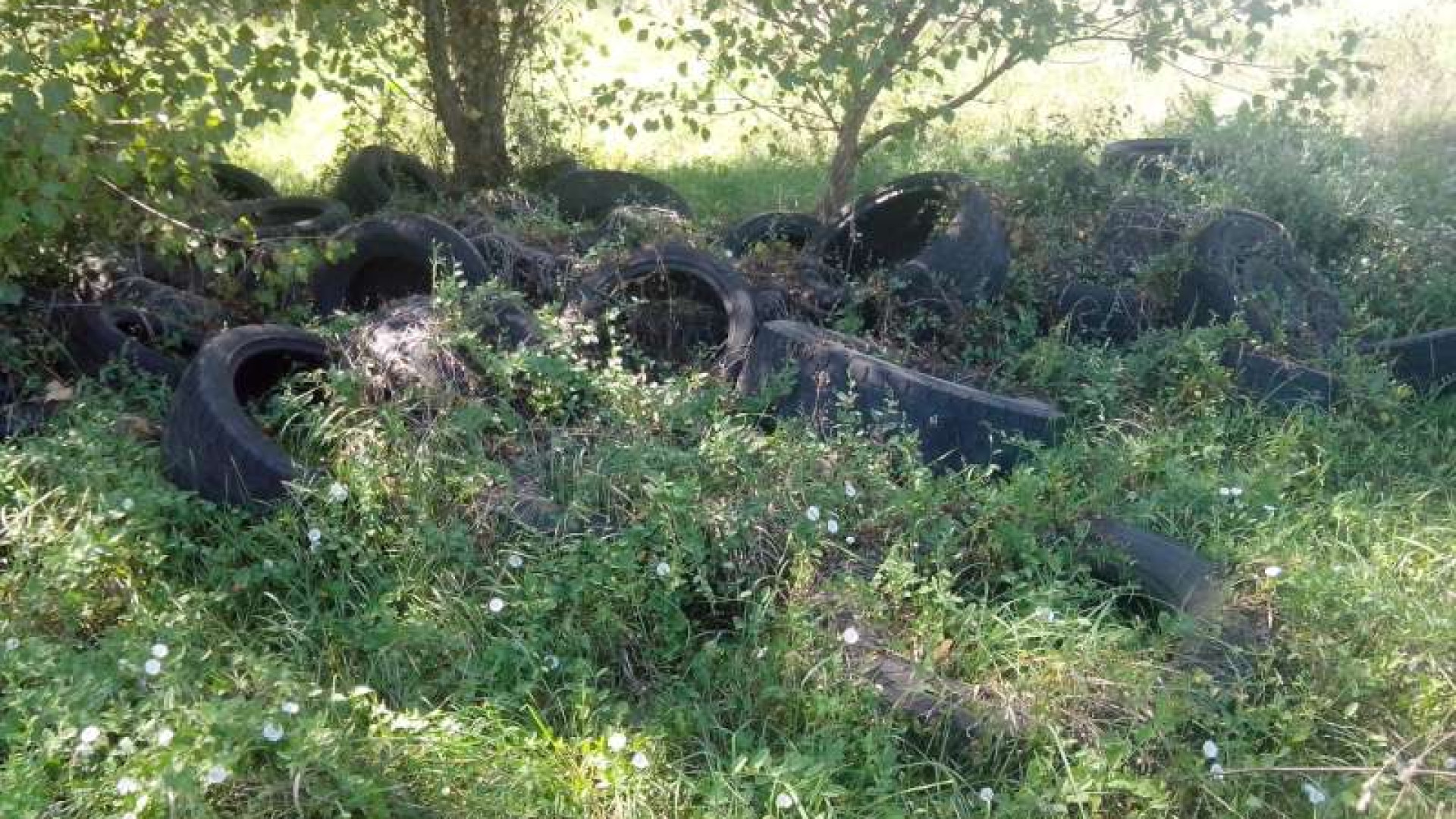 Sarmato, 30mila pneumatici in un’area privata. Completata la bonifica