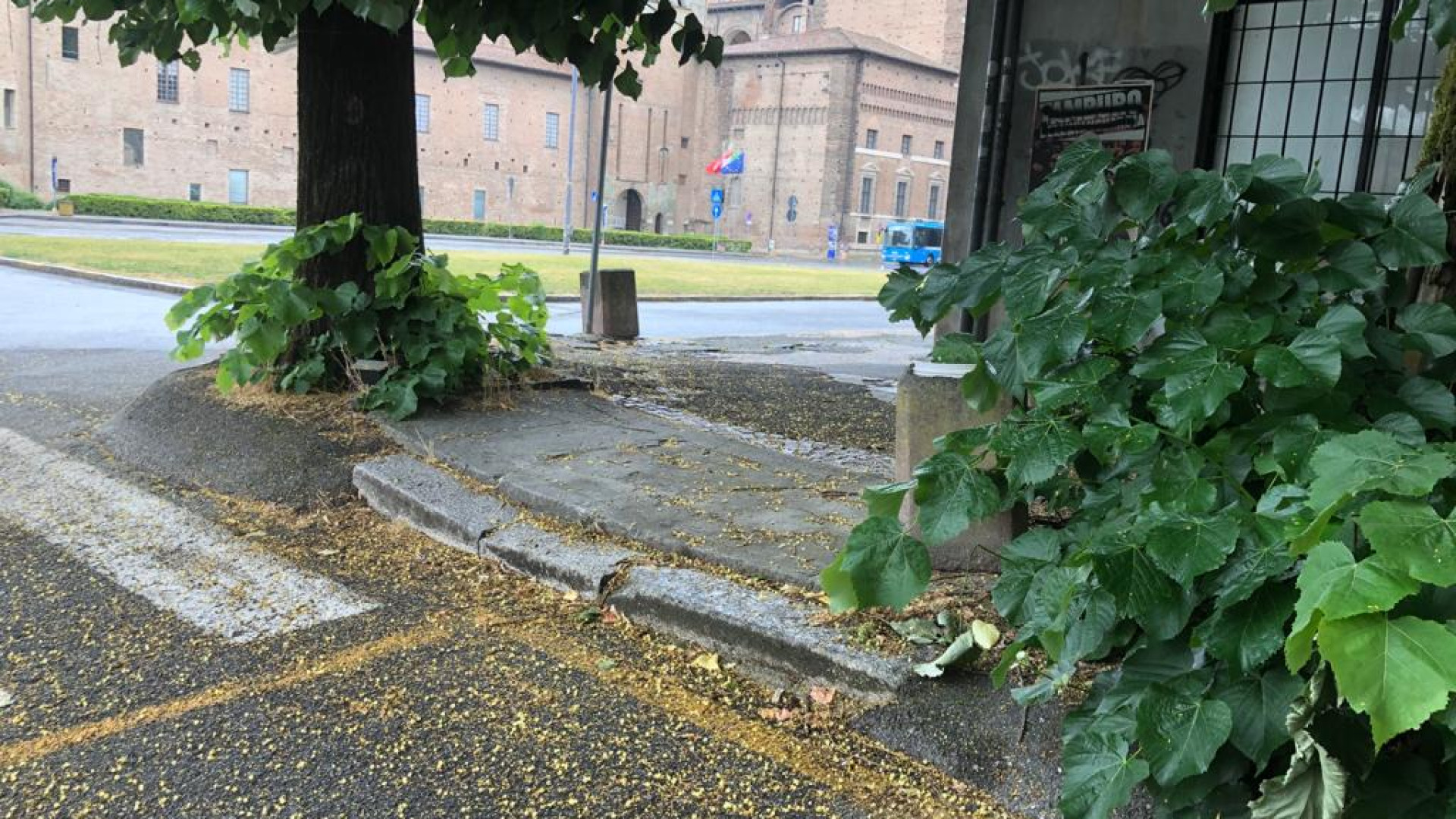 Erbacce, sporcizia e marciapiedi pericolosi: "Degrado in piazza Cittadella"