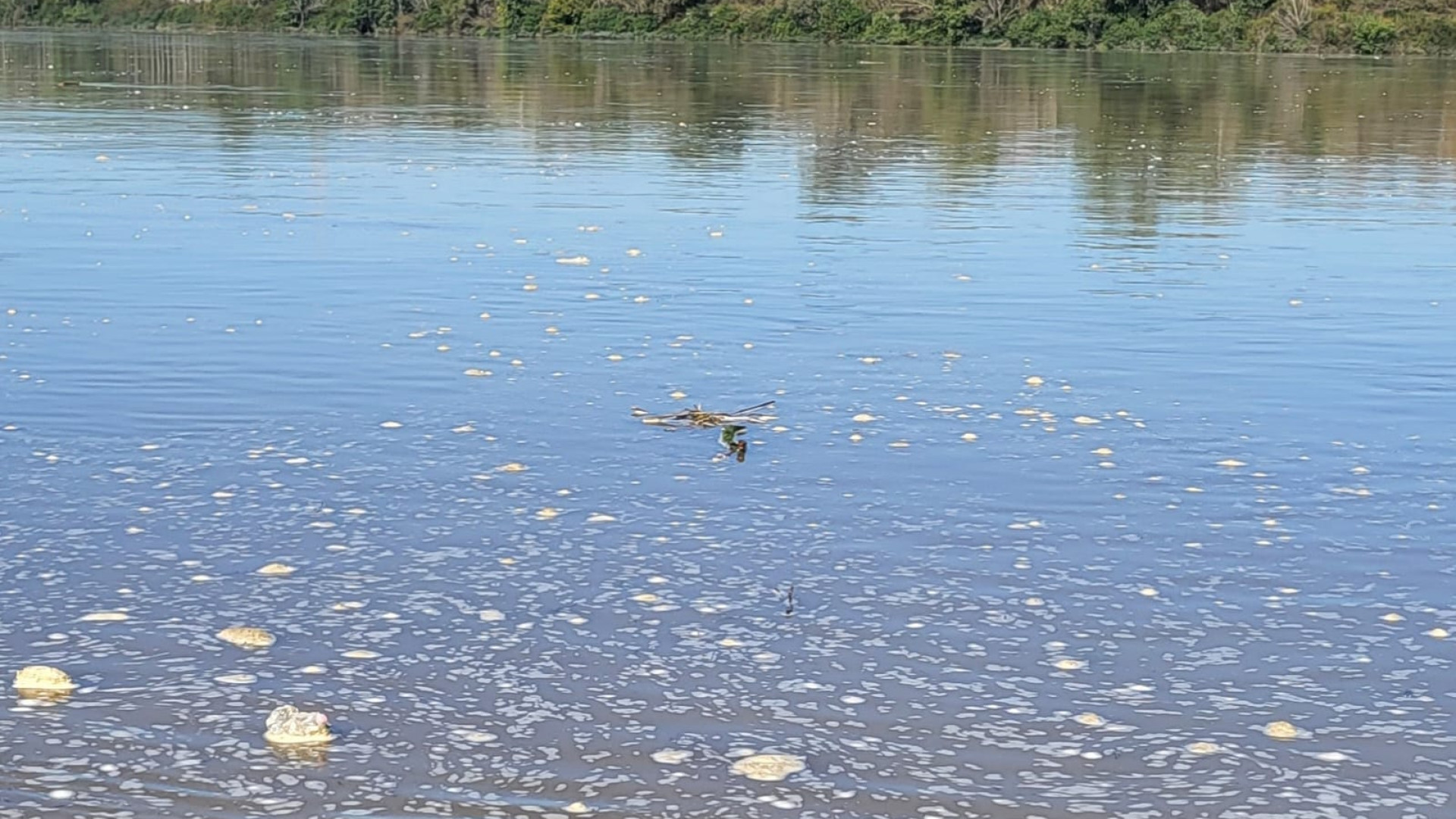 Detriti nel Po: sospese le gare di Boretto, Troglio resta campione italiano Osy400