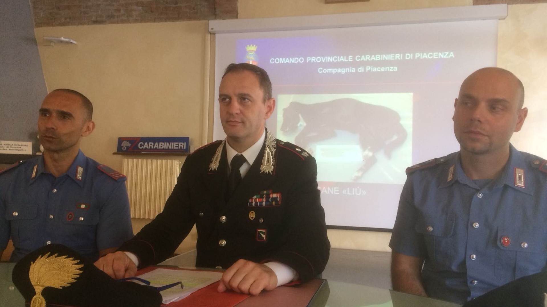 "Uccise a calci il suo cagnolino di sei mesi": piacentino indagato. Ma lui nega tutto