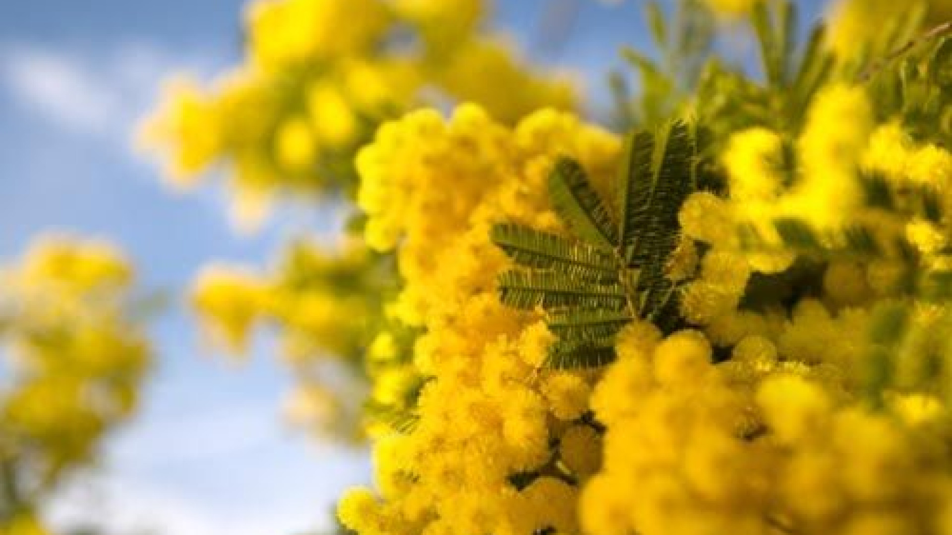 “Tu mettici il cuore”, iniziativa per la donna. Ricavato alla Casa di Iris