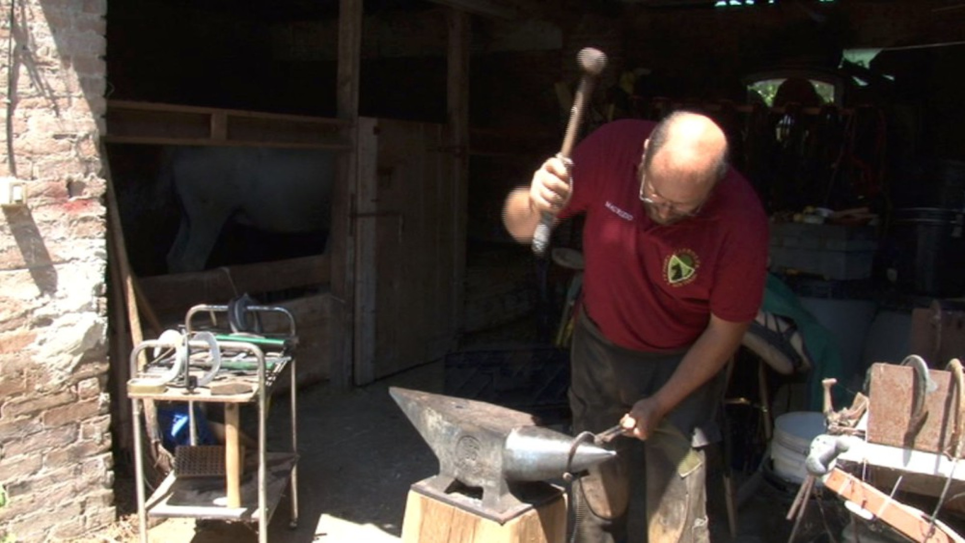 Da una verga al ferro di cavallo.Il Tgl Più alla scoperta della mascalcia