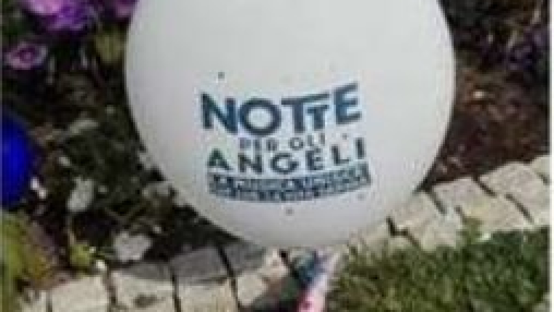 Da Cortemaggiore a Monaco, il volo di un palloncino della Notte per gli angeli