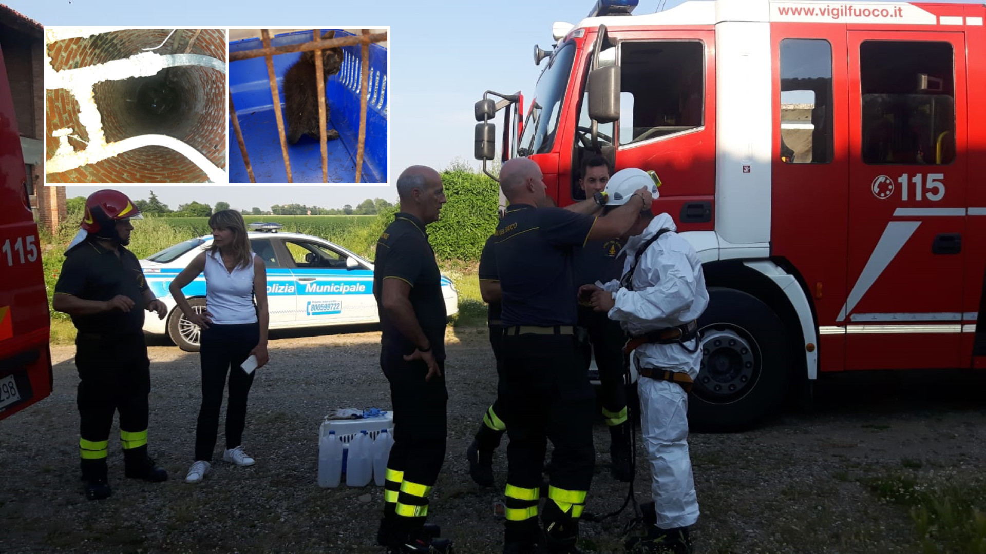 Gattino cade in un pozzo di dieci metri, i vigili del fuoco si calano e lo salvano