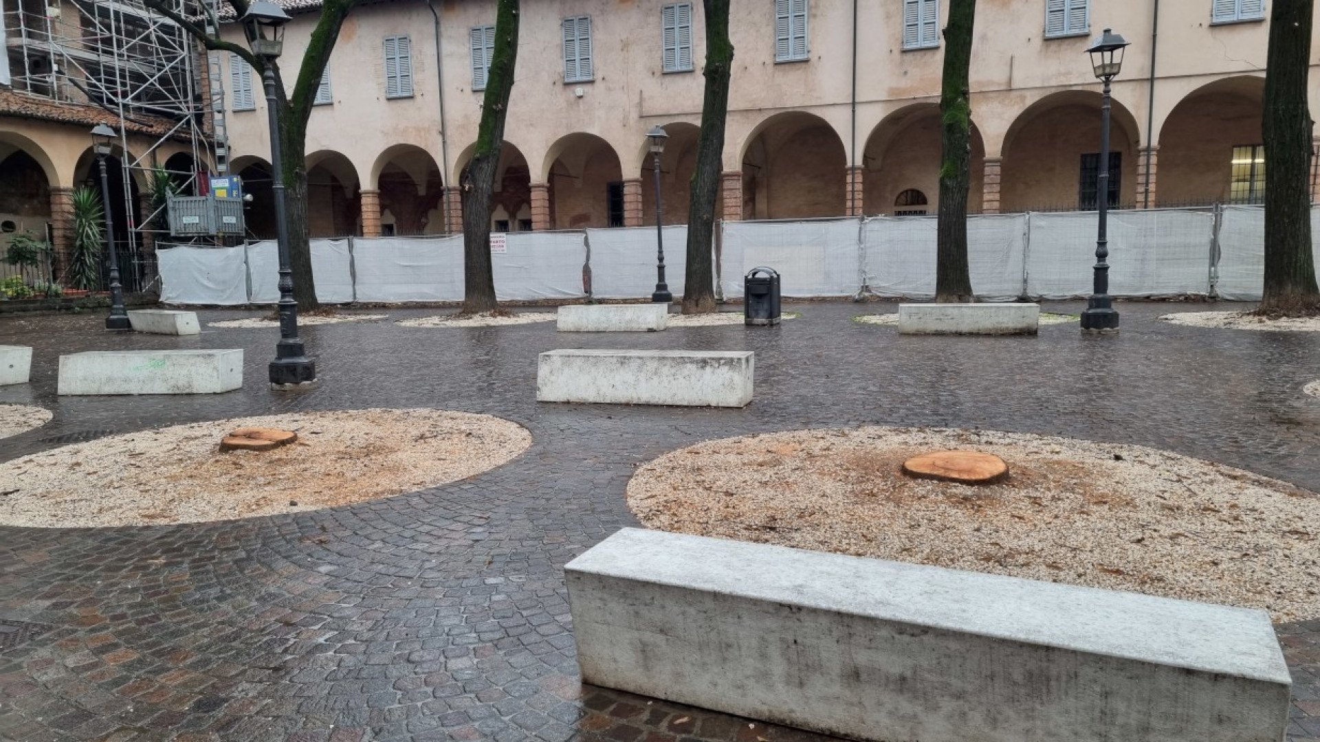 Piazzetta Plebiscito, Mancioppi: "Tigli pericolosi, dehor richiesto nel 2019"