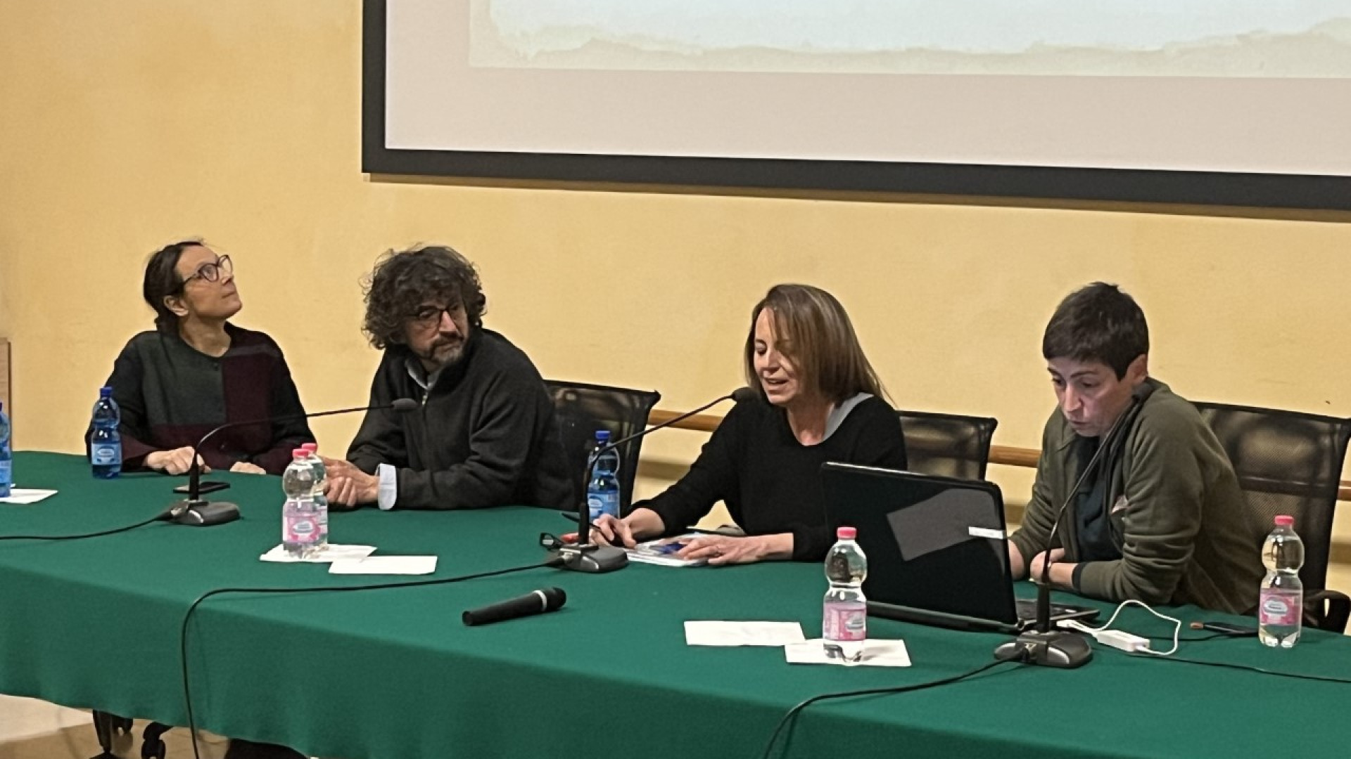 Quattordici lupi investiti in un anno nel Piacentino. Tre solo a Gossolengo